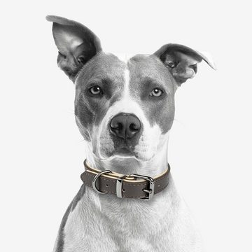 Tierluxe Hunde-Halsband Klassiker, Leder, Braun