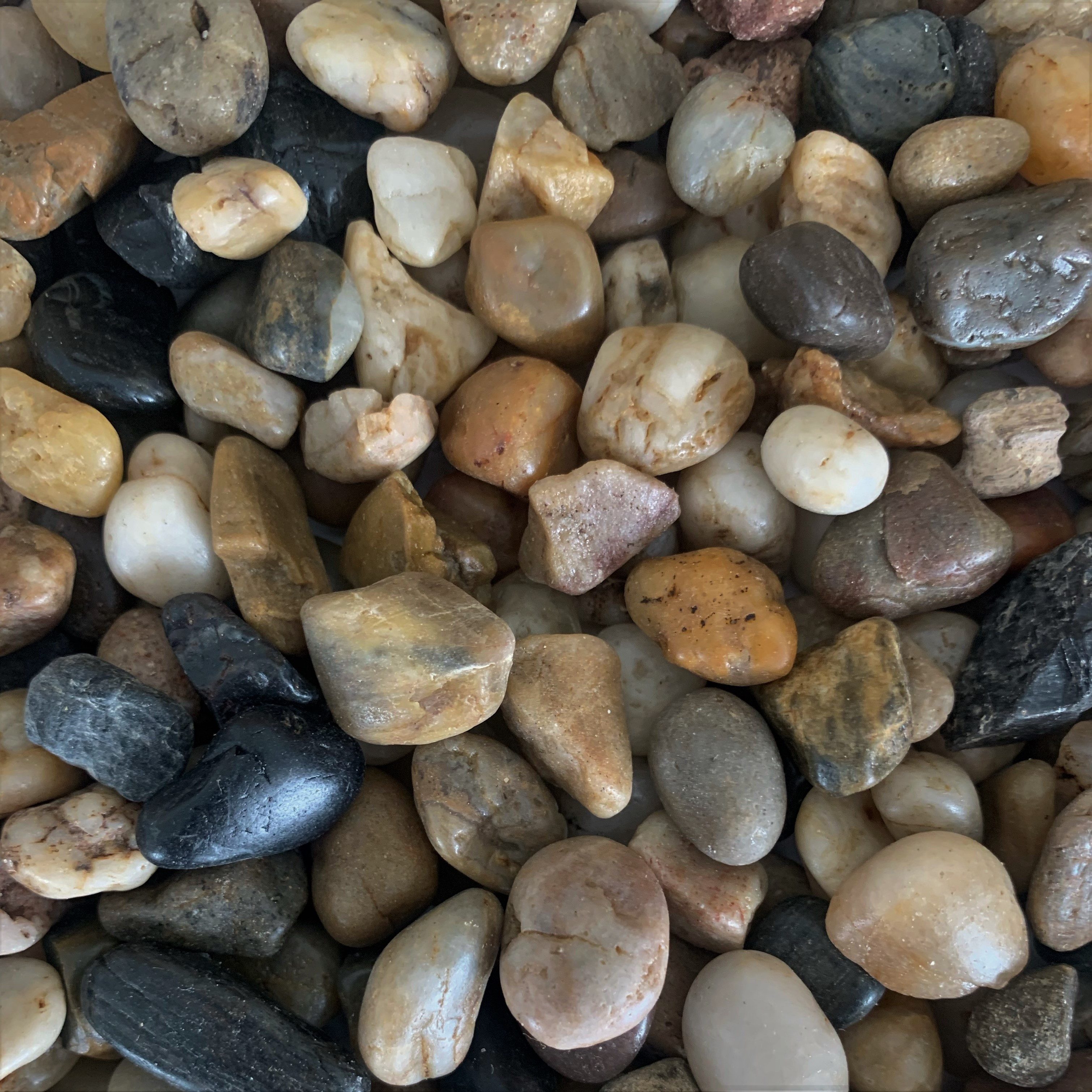 DRAGIMEX Annastore Kieselsteine Dekokiesel Natur, poliert 800 Gramm - Kiesel - Kieselsteine