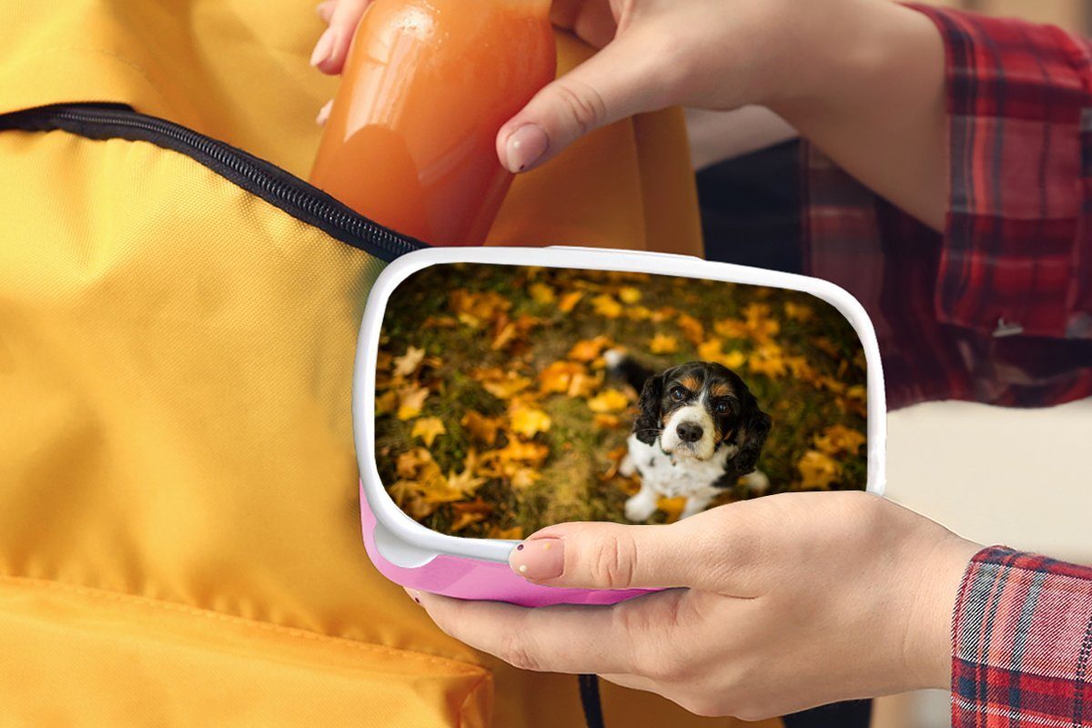 Lunchbox orangefarbenen, Brotbox Erwachsene, Kunststoff, gelben rosa für King Kunststoff zwischen Spaniel MuchoWow Snackbox, und Mädchen, (2-tlg), Charles Kinder, Cavalier Brotdose