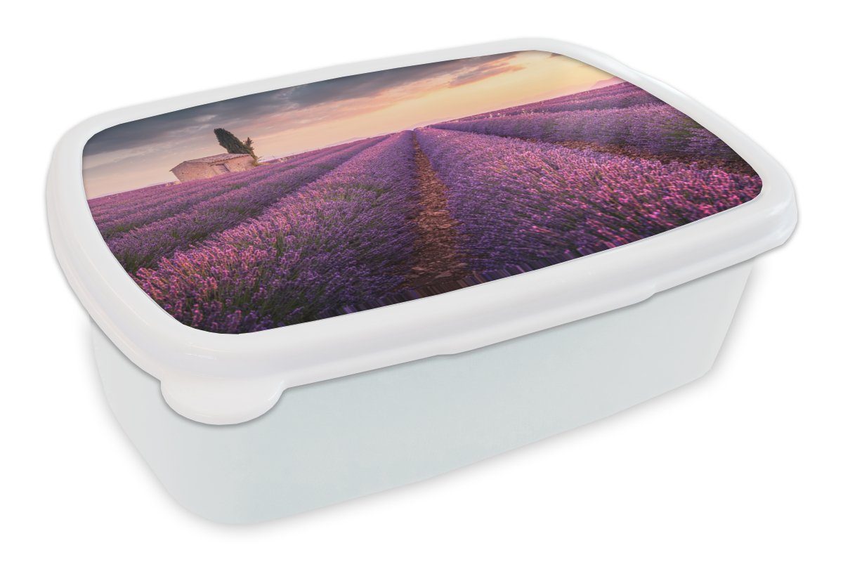 MuchoWow Lunchbox Lavendel - Blumen - Lila - Feld, Kunststoff, (2-tlg), Brotbox für Kinder und Erwachsene, Brotdose, für Jungs und Mädchen weiß
