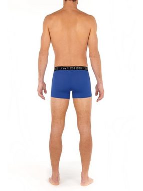 Hom Boxer Brian no.2 (2-St)