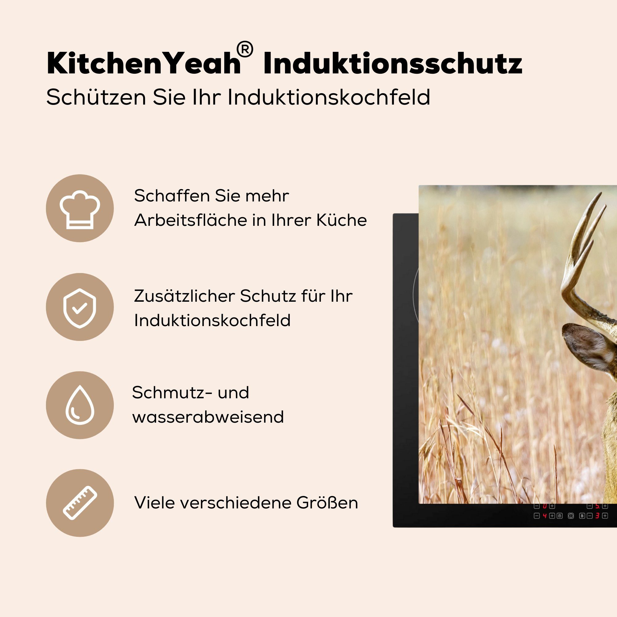 MuchoWow Herdblende-/Abdeckplatte Hirsche - Tiere (1 Natur 81x52 Herbst Vinyl, Ceranfeldabdeckung, cm, tlg), Gras - - Arbeitsplatte für Geweih, - - küche