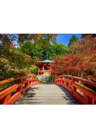 Papermoon Fototapetas »Daigoji Temple Kyoto« gla...