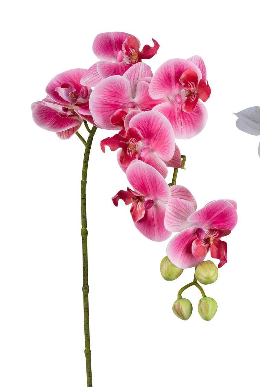 Kunstblume, formano, Höhe 80 cm, Pink H:80cm Kunststoff