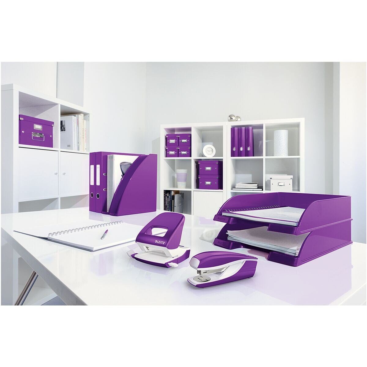 LEITZ Aufbewahrungsbox Click & Store, mit Metall-Etikettenhalter