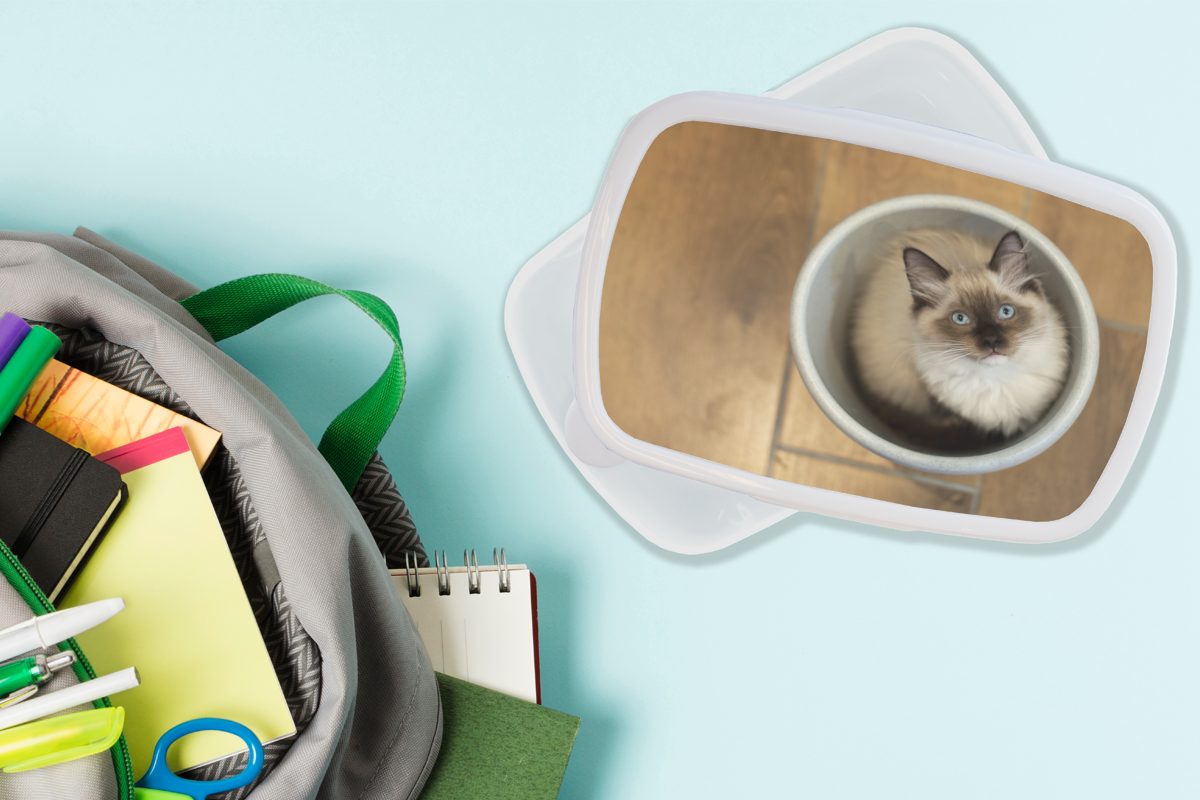 MuchoWow Lunchbox Eine Ragdoll-Katze (2-tlg), Erwachsene, Kunststoff, und einem Jungs weiß Brotbox Kinder Brotdose, in für für Plastikeimer, und Mädchen