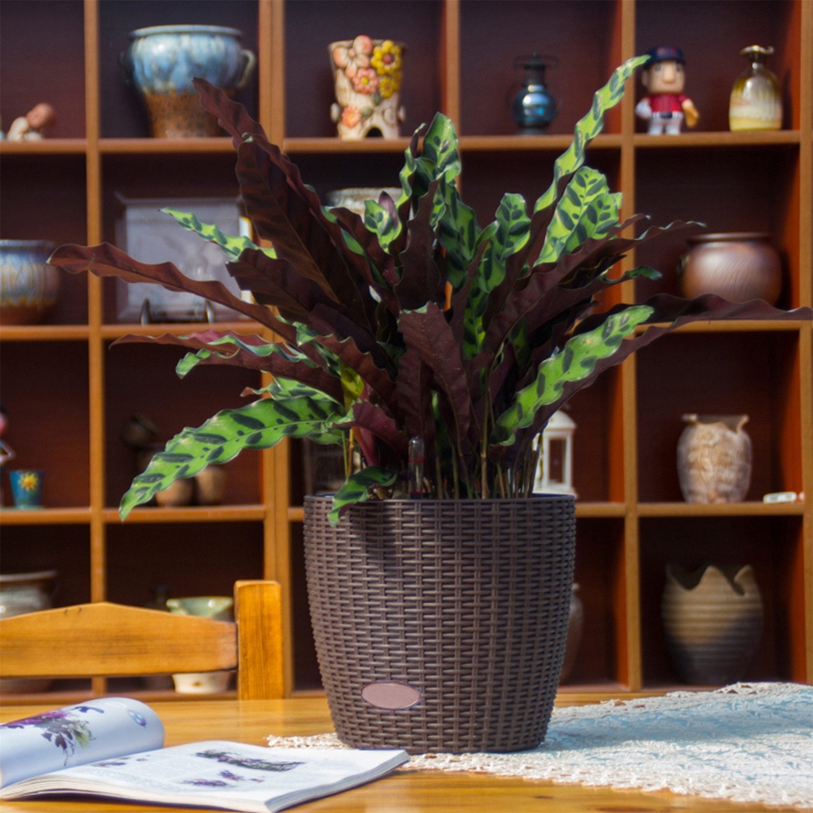 HTI-Living Blumentopf Blumentopf Hydro Ø 21 günstig online kaufen