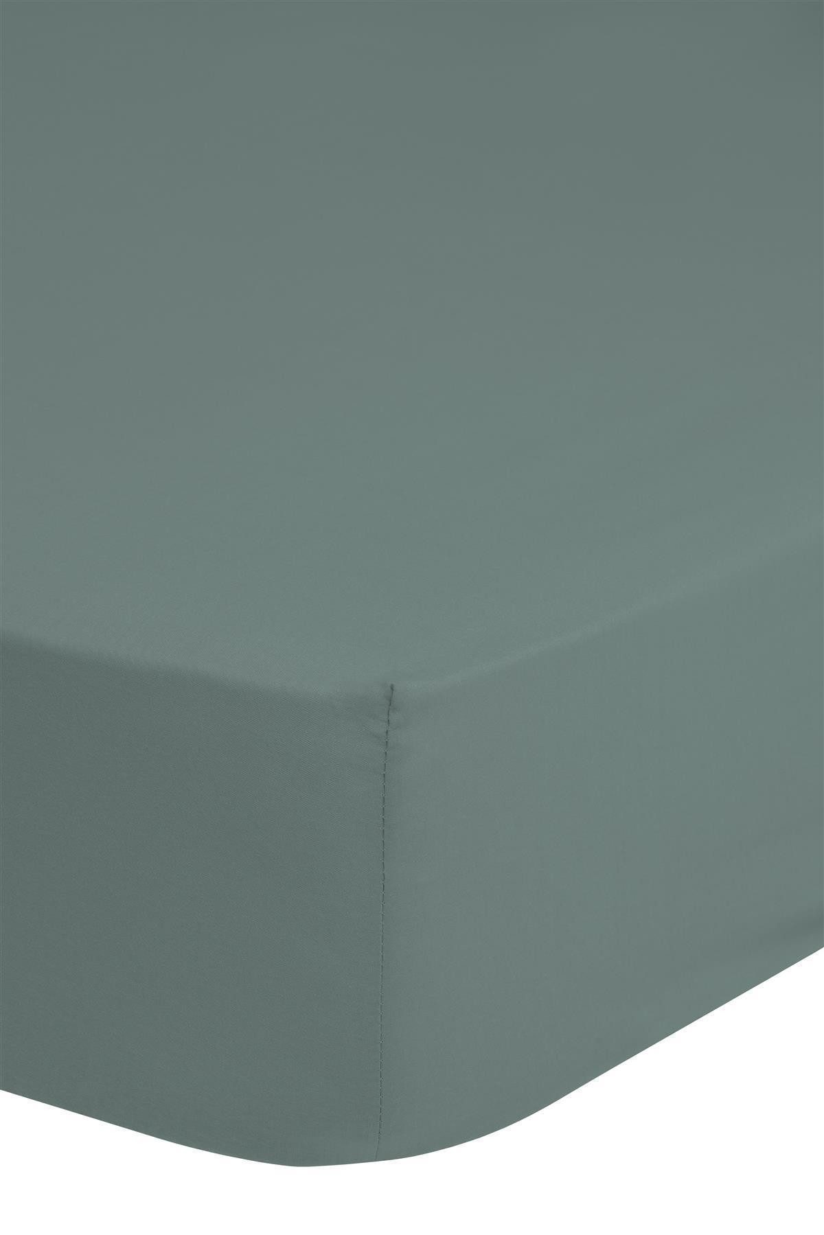 good morning Spannbettlaken Spannbettlaken Fs 70x140/150 Good Morning jersey misty green Gre, Baumwolle, Gummizug: Rundum, (1 Stück), Bettlaken mit Gummizug in 90x200 140x200 180x200 und weitere Größen