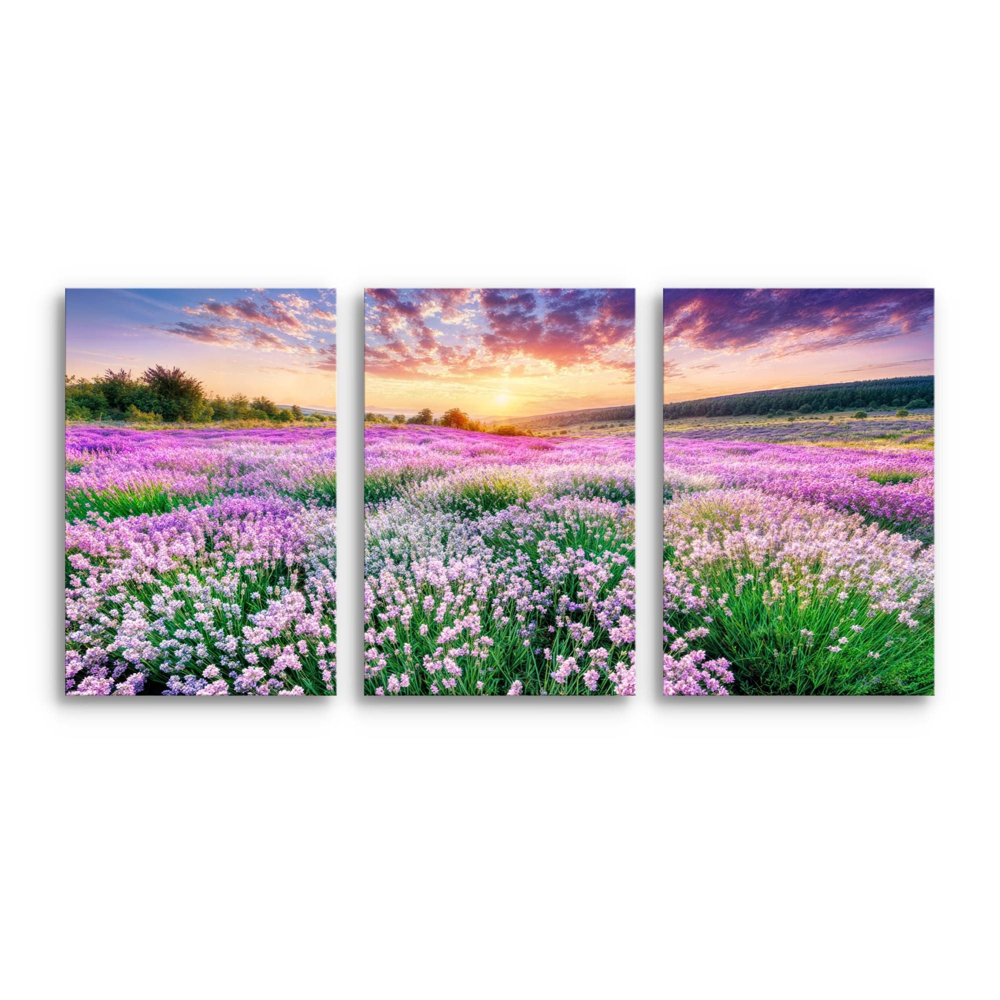 Novart Wandbild Baum des Lebens Abstrakt Modern Wandbilder Set Wohnzimmer, Lavendel