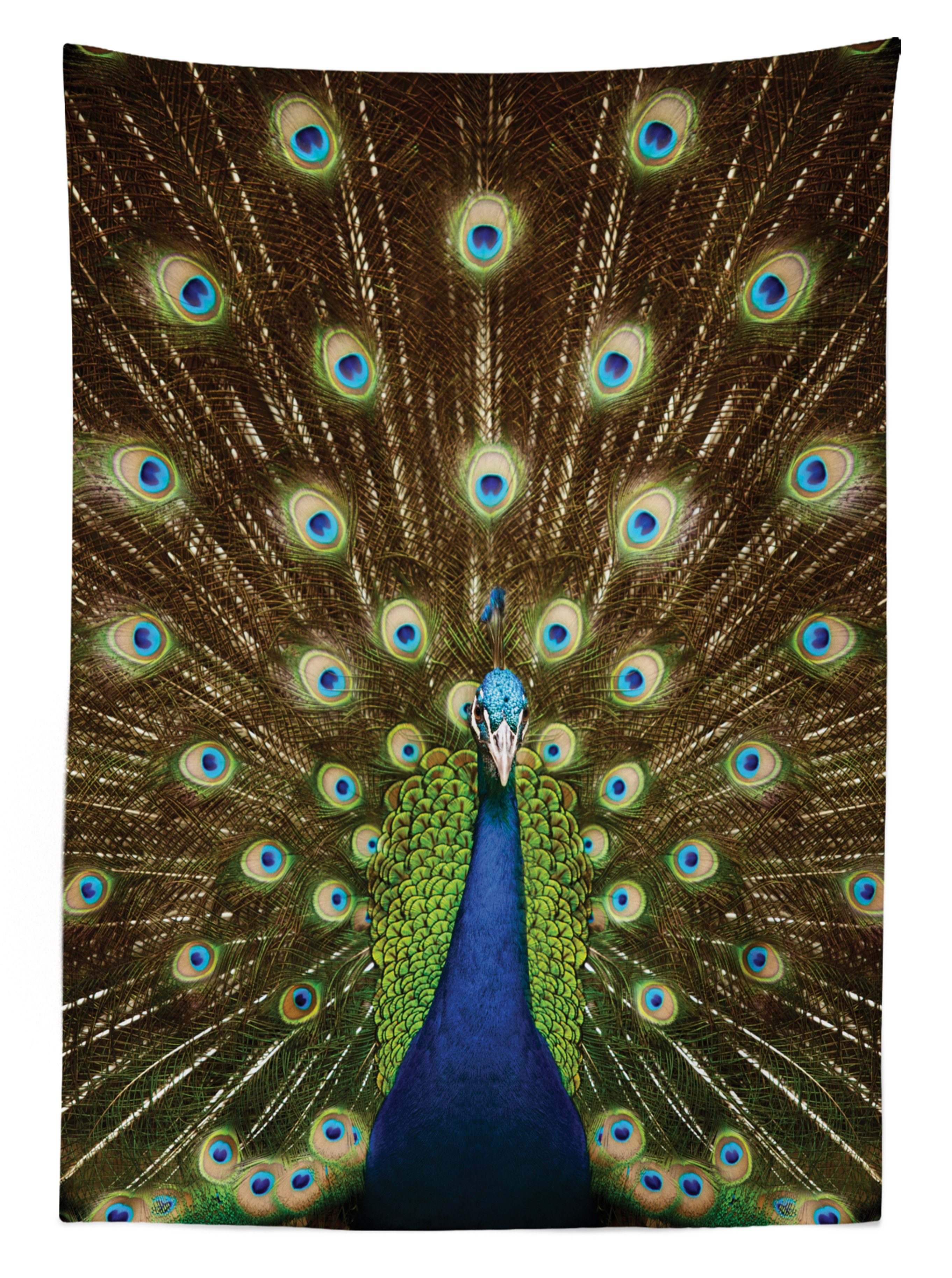 geeignet Bunt den Peacock Abakuhaus Farbfest Für Außen Klare Tischdecke Farben, Bereich Federn Waschbar mit