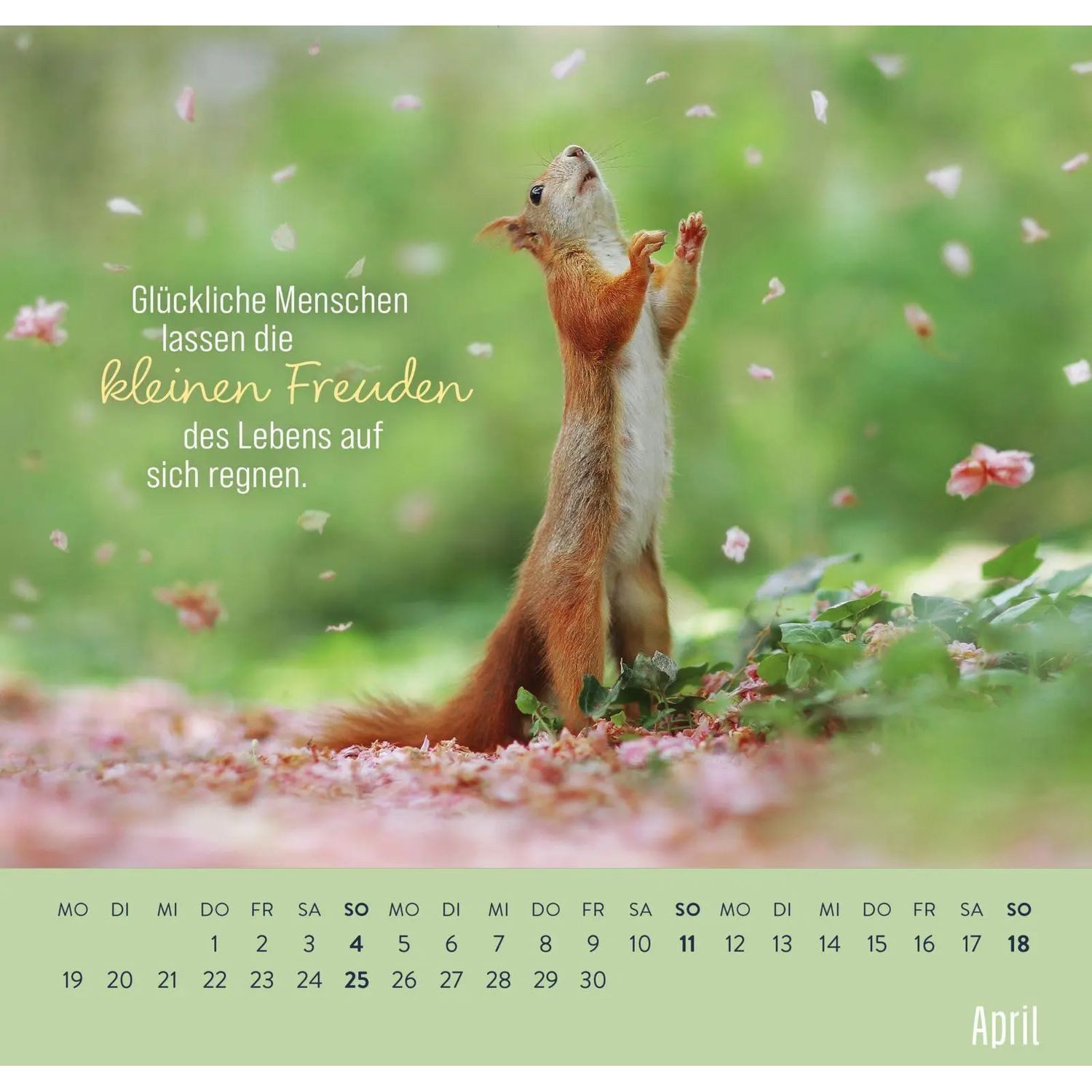 groh Verlag Wandkalender Wandkalender 2027: Kleine Glücksbringer für dein Jahr