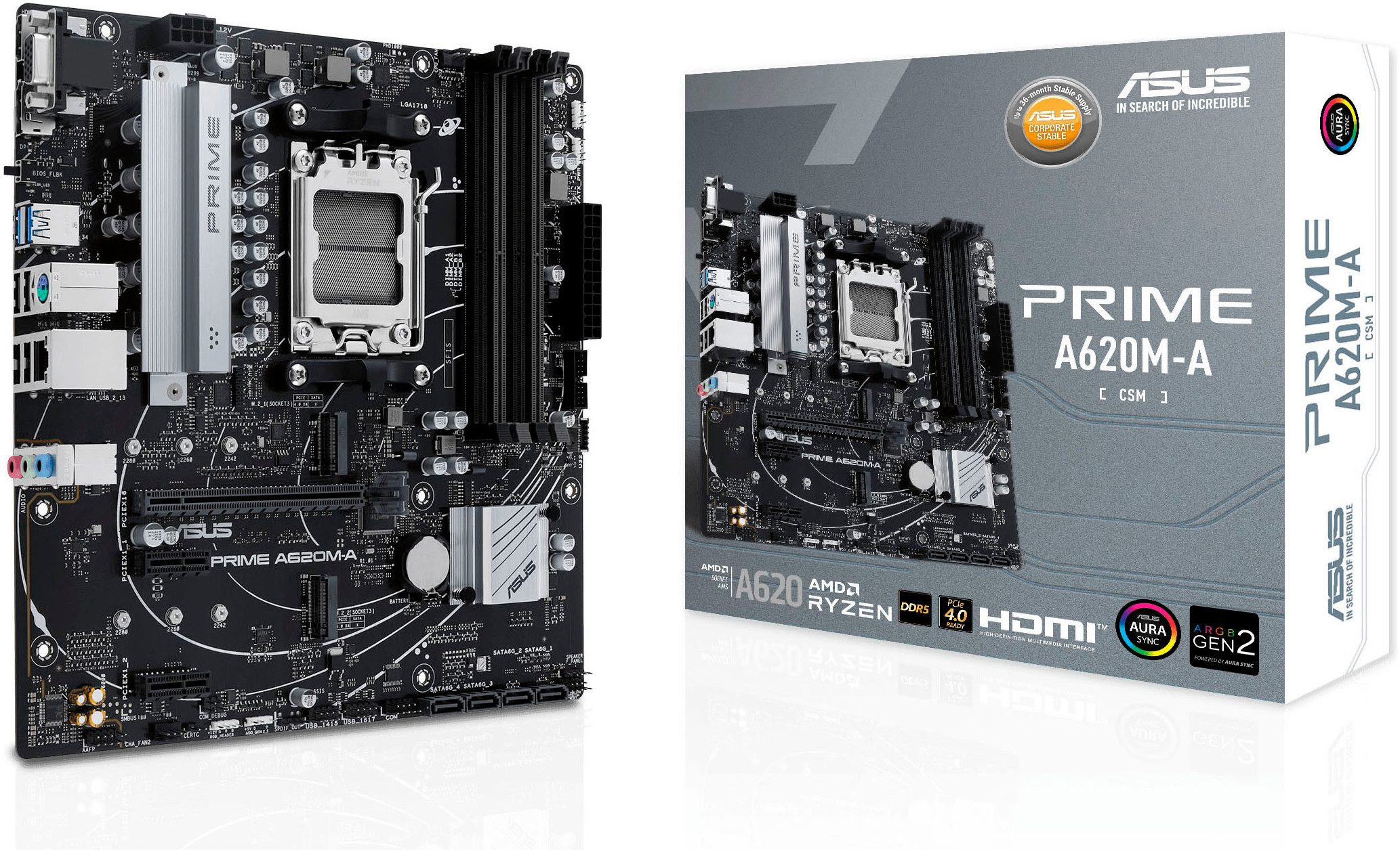 Asus PRIME A620M-A-CSM Mainboard