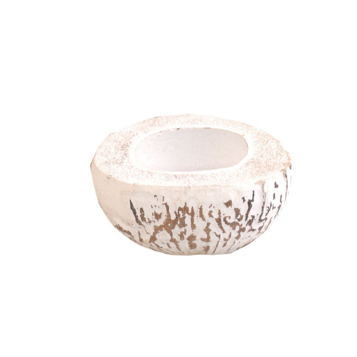 Deko AS Dekoschale Kokosnuss - Tropical White - ø ca. 14-16 cm - 7155-02