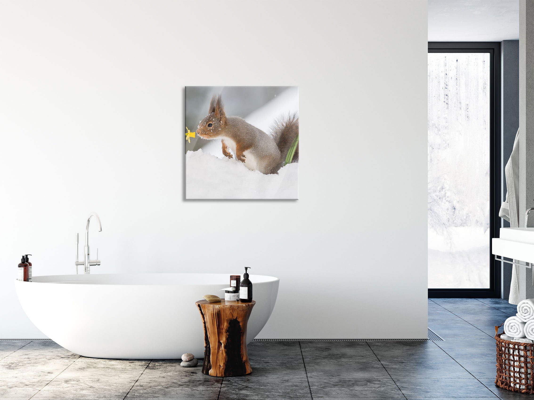 Eichhörnchen Abstandshalter im und aus Glasbild Schnee Pixxprint St), Glasbild inkl. (1 Echtglas, Aufhängungen Schnee, im Eichhörnchen