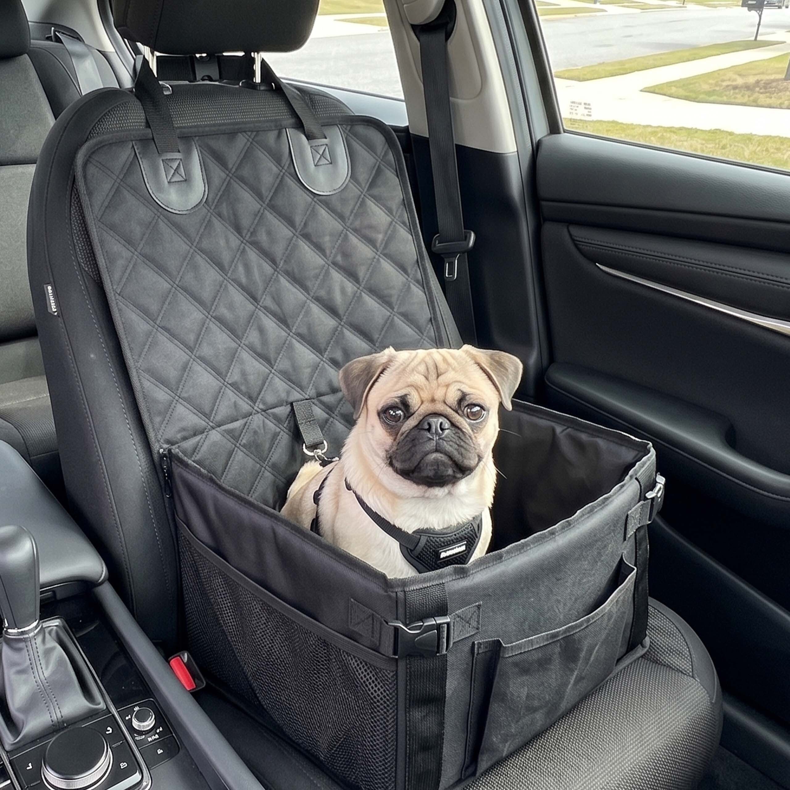 relaxdays Hunde-Autositz Stabiler Hundeautositz für kleine Hunde