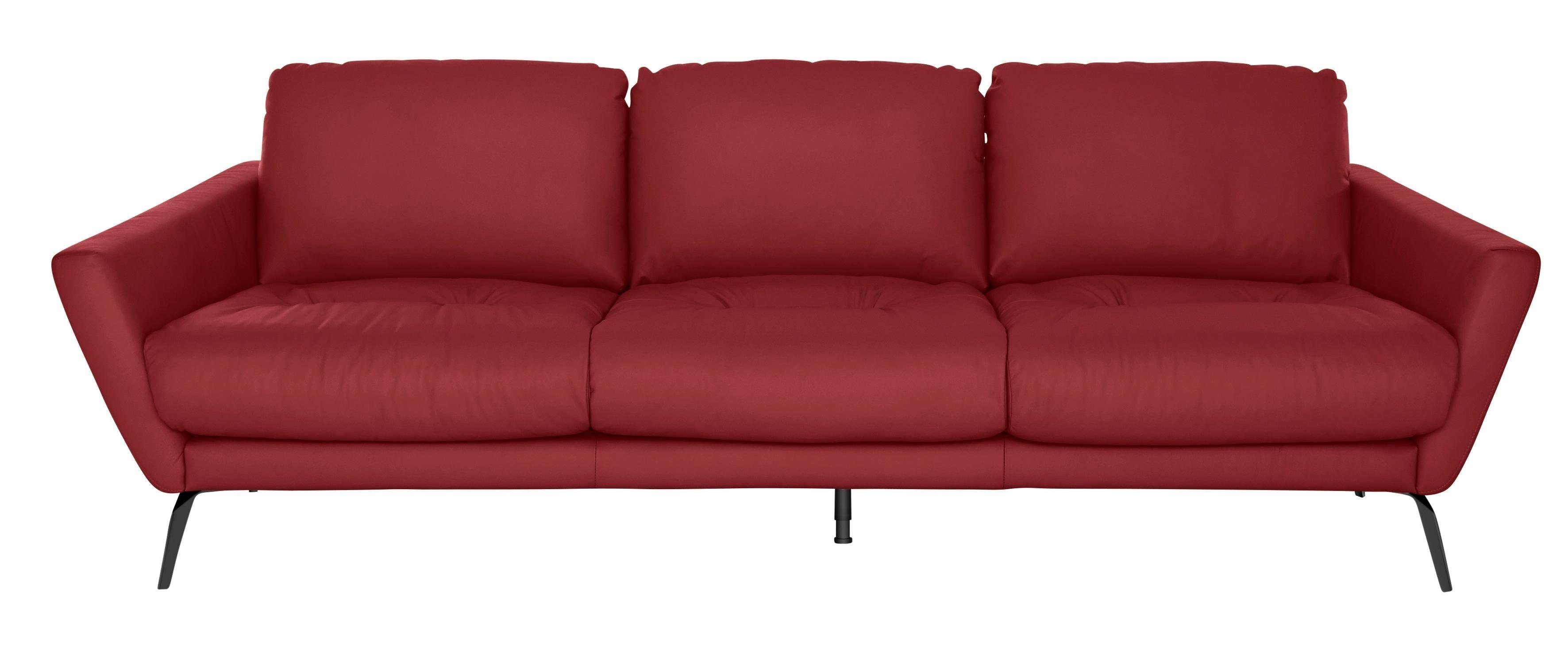 W.SCHILLIG Big-Sofa softy, mit Sitz, im schwarz Füße Heftung dekorativer pulverbeschichtet