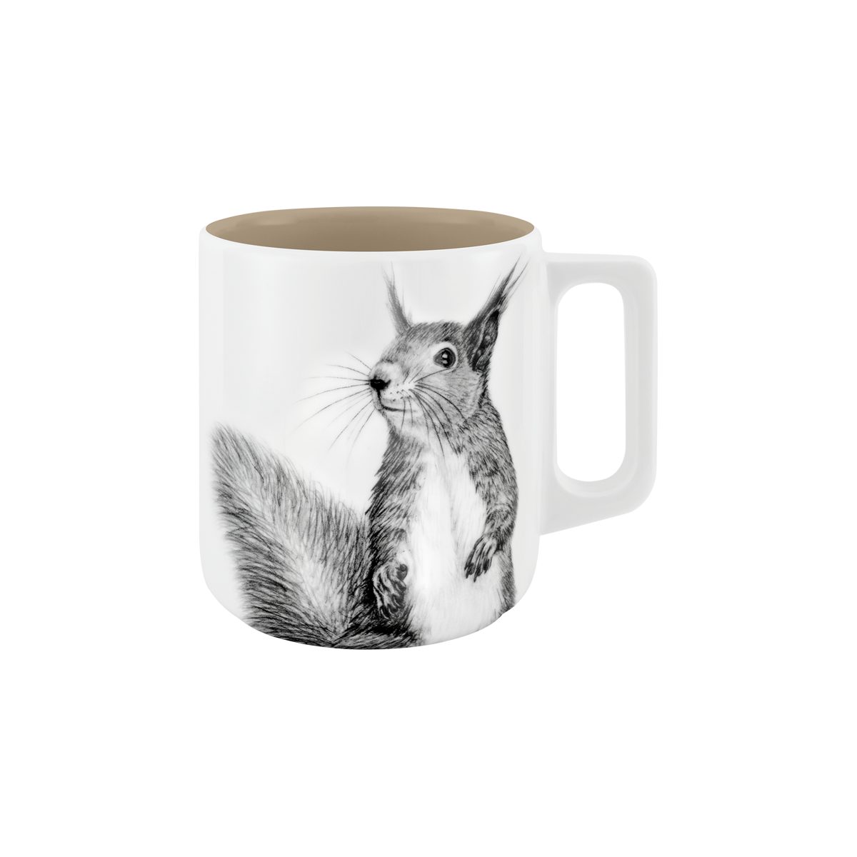 mittelpunkt. Tasse Tiermotiv . Eichhörnchen