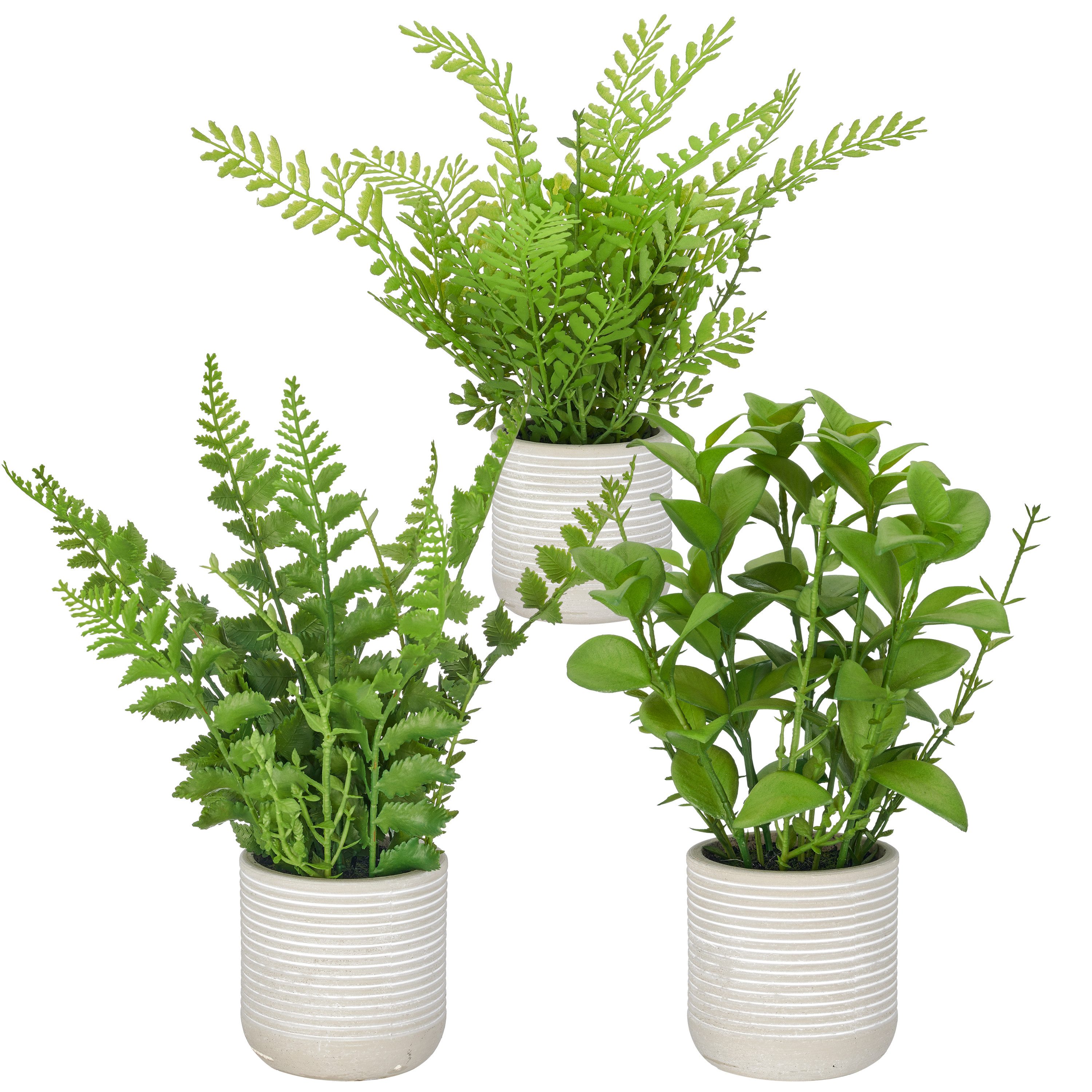 Kunstpflanze Grünpflanzen-Mix, Creativ green, Höhe 26 cm, mit 3 verschiedenen Pflanzen