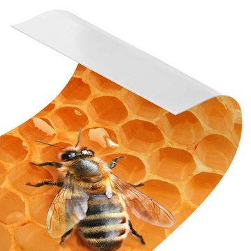 Bilderdepot24 Küchenrückwand gelb dekor Tiere Wandpaneel Honey Bee Wandverkleidung Küche, (1-tlg., Nischenrückwand - für Fliesenspiegel ohne Bohren - matt), Spritzschutz Rückwand Küche Herd - Folie selbstklebend versch. Größen