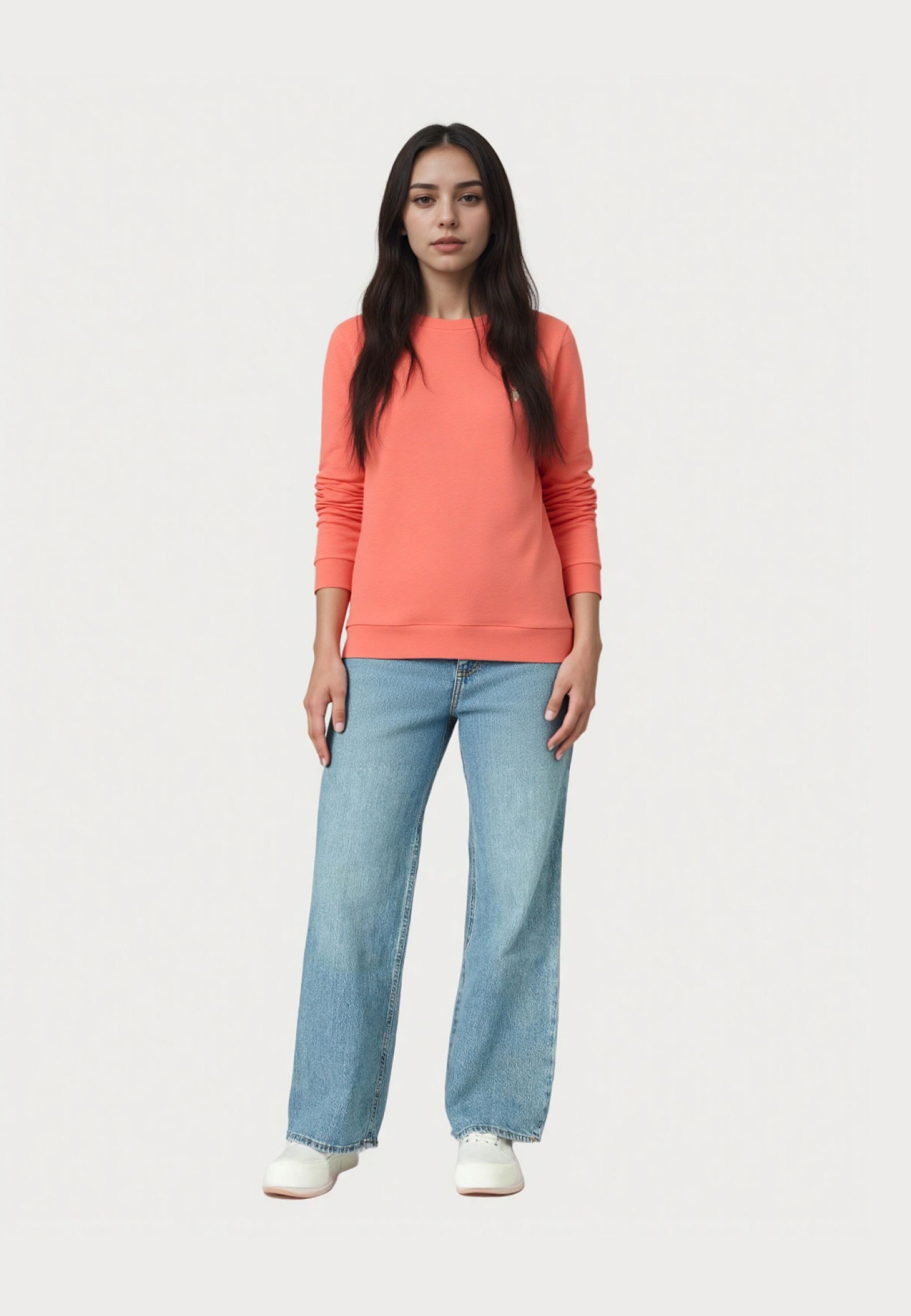 U.S. Polo Assn. Sweatshirt Shirt Sweatshirt (1-tlg)