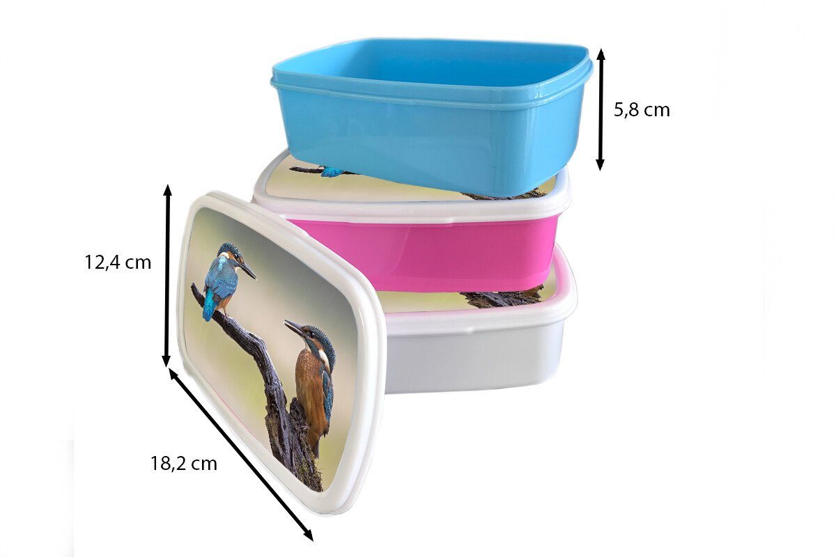 MuchoWow Lunchbox Eisvogel - Blau für Mädchen, Erwachsene, Orange, rosa Brotdose - Kunststoff Kinder, Snackbox, Brotbox Kunststoff, (2-tlg)