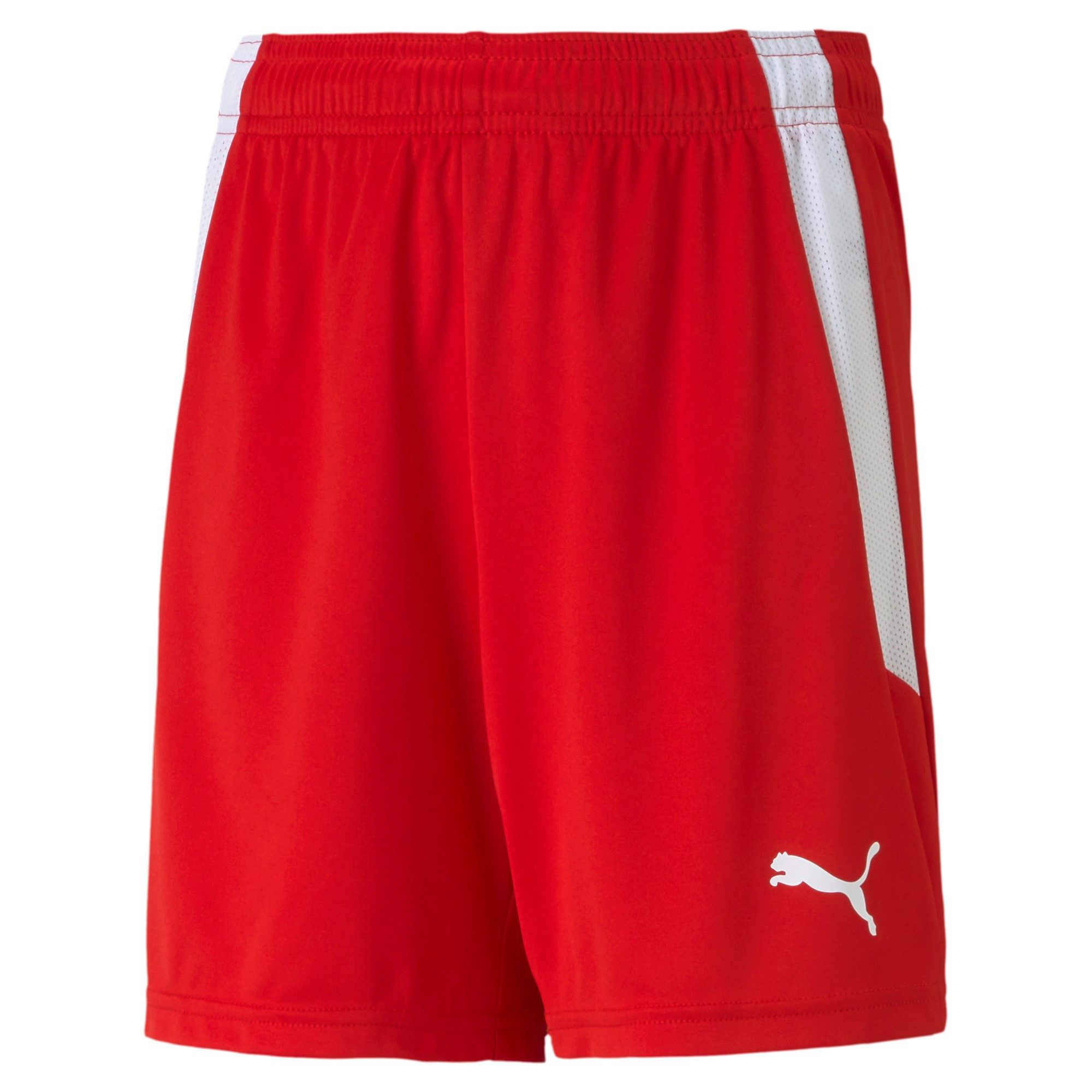Trainingsshorts Puma Kinder Shorts teamLIGA Shorts Jr 704931