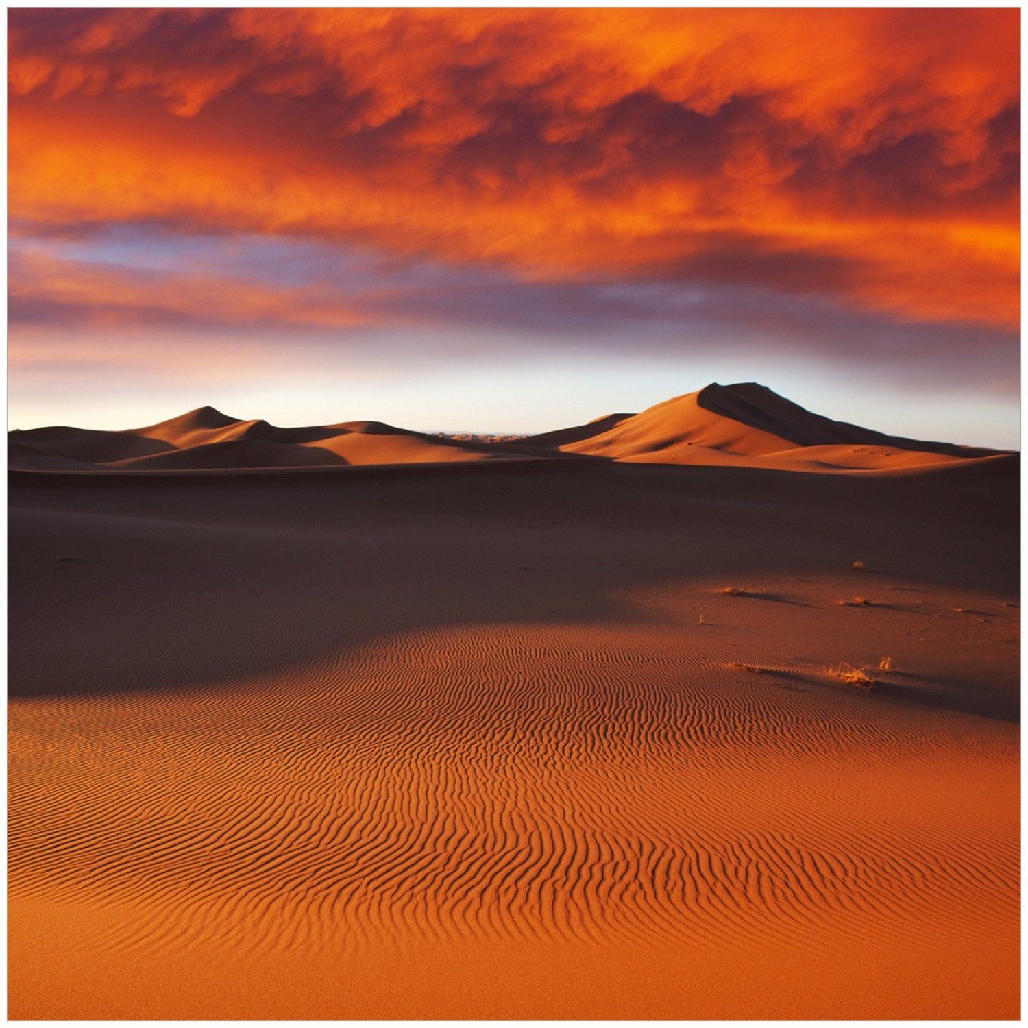 Wallario Memoboard Sahara Wüste II - Sanddünen im Sonnenuntergang