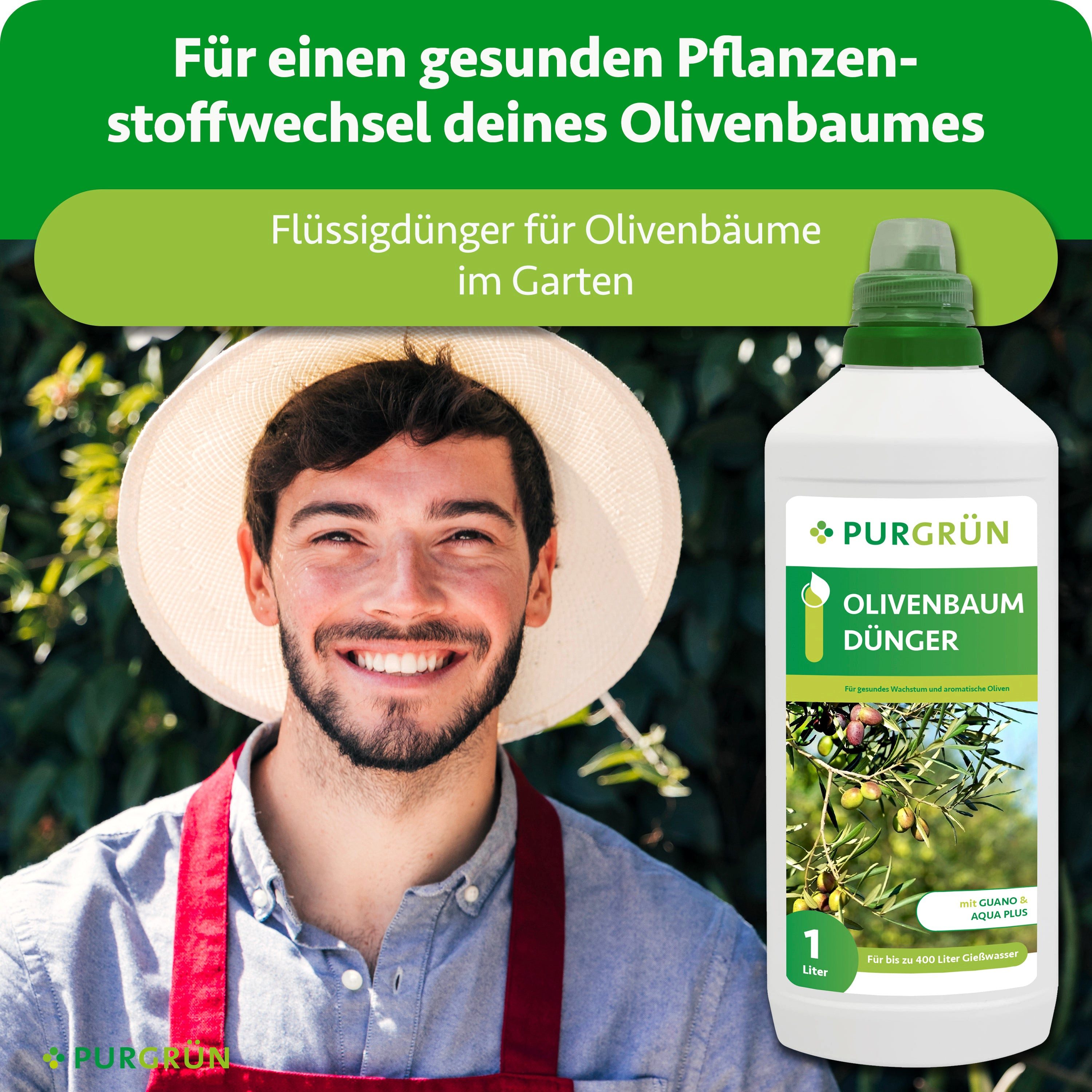 Purgrün Obstdünger Olivenbaum Dünger, NPK 8+8+6, für gesunde Oliven, 1L, Fl günstig online kaufen