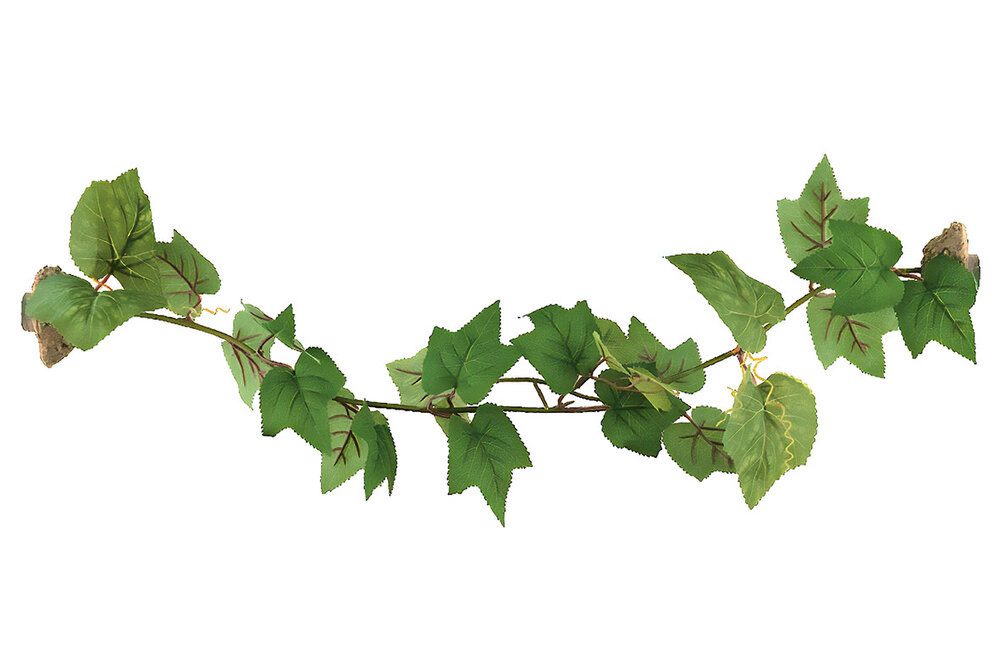 Terrarium ReptiZoo Magnetisch haftende Kunststoffpflanze "Grape leaves" – Terr
