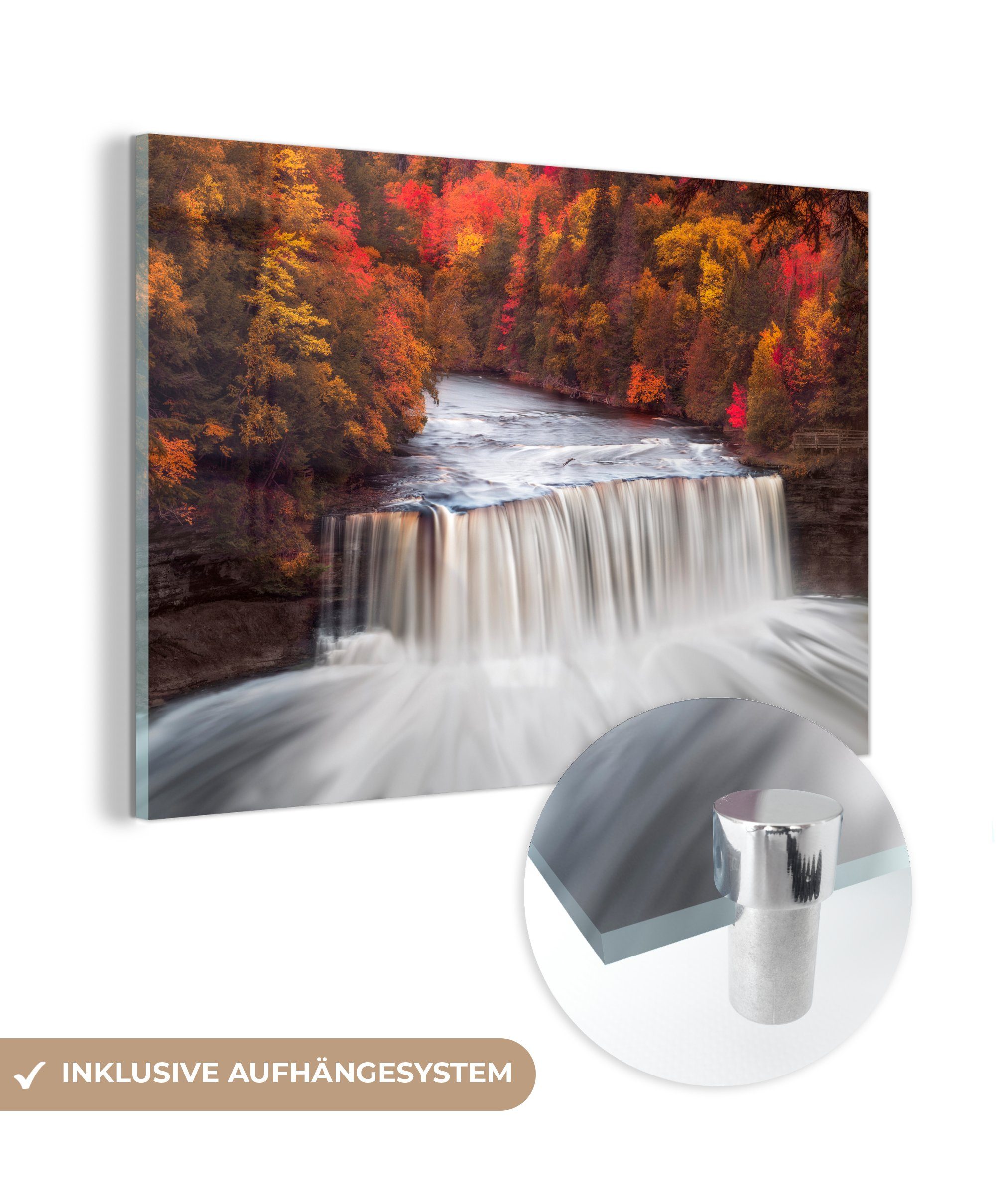 MuchoWow Acrylglasbild Wasserfall einem Wohnzimmer Schlafzimmer St), (1 Wald, in & Acrylglasbilder