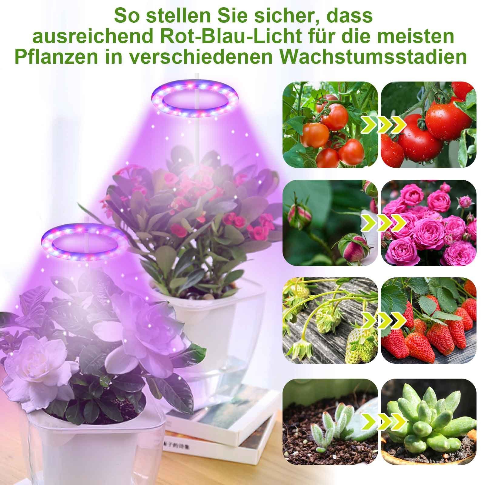 Rot Timer Pflanzenleuchte 20-80 Pflanzenlicht, LEDs Pflanzenlampe, MUPOO LED Pflanzenlampe Blau