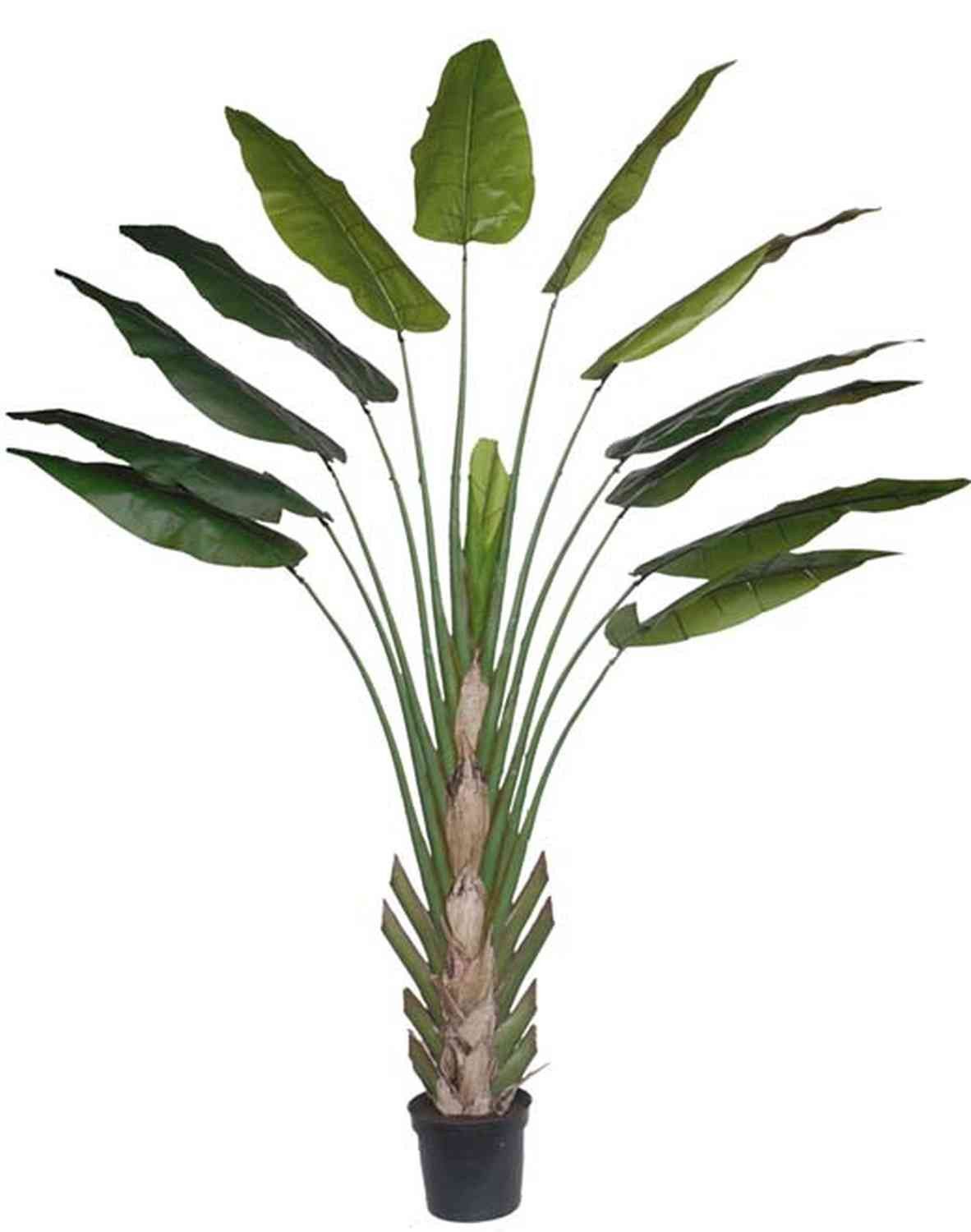 Künstliche Zimmerpflanze Künstliche Heliconia KASIYA, 13 Blätter, grün, 300cm - Kunst Helikonie Baum der Reisenden, artplants, Höhe 300.0 cm