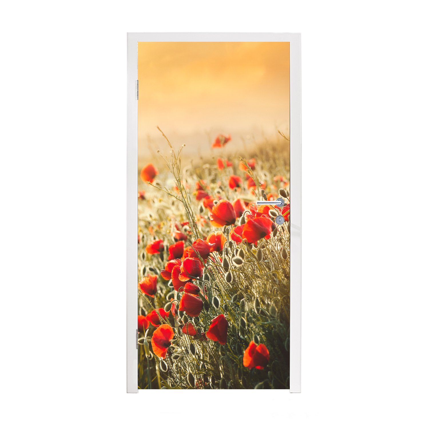 MuchoWow Türtapete Sonnenstrahlen über einem Türaufkleber, bedruckt, Mohnblumenstrauß, für 75x205 (1 cm Tür, Matt, St), Fototapete