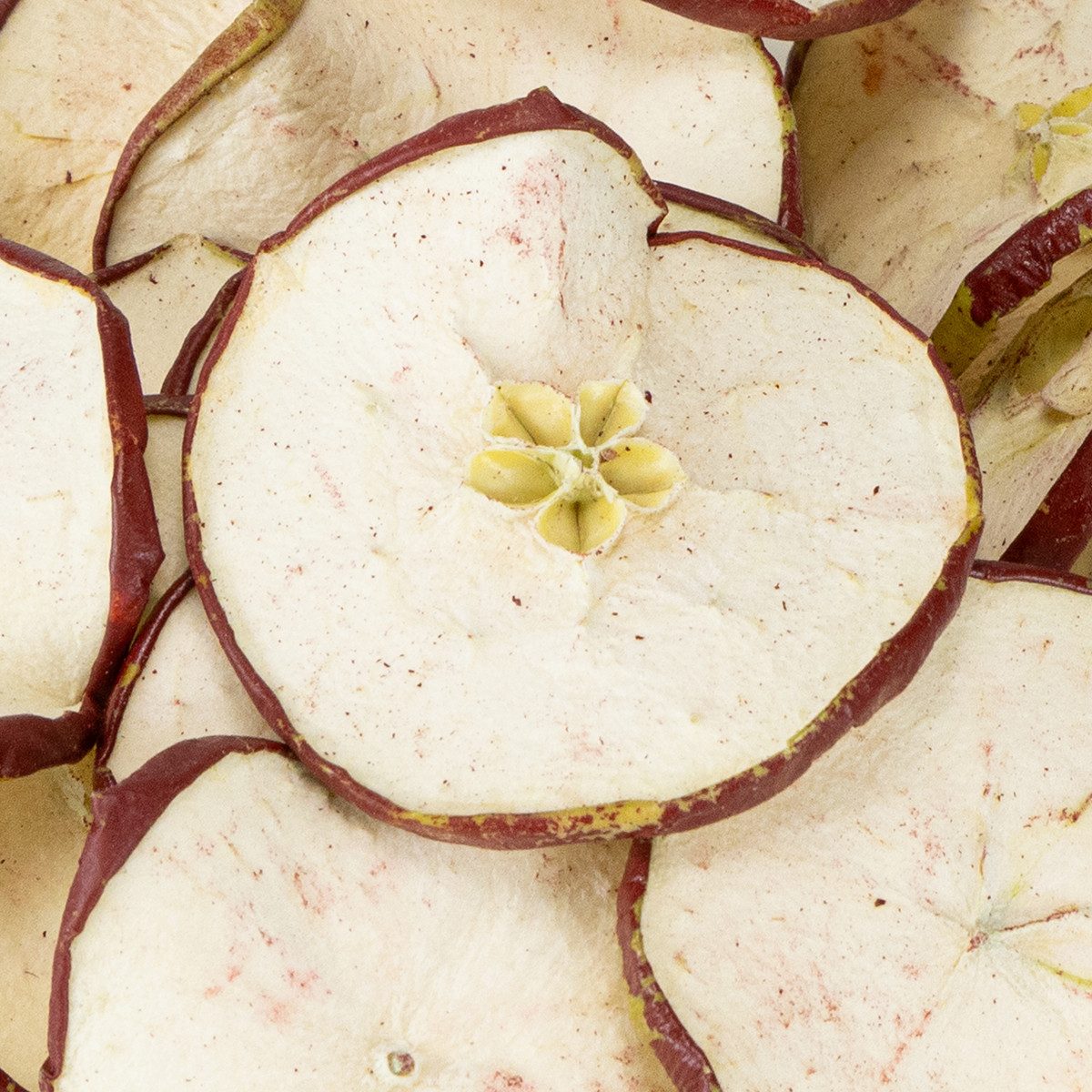 Trockenblume Rote Deko-Apfelscheiben 500g Herbst Halloween Basteln, Florists Products, Höhe 0.5 cm