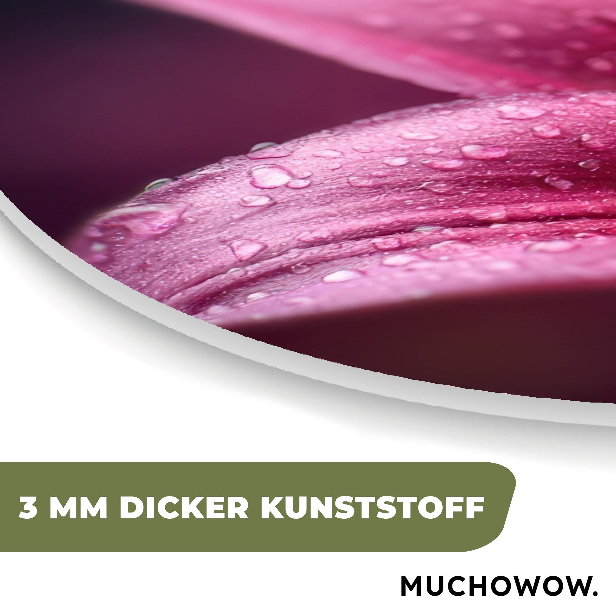 MuchoWow Gemälde Rosa - Lilie - Tautropfen, Fotodruck (1 St), Wandbild Abstrakt, Wohnzimmer Schlafzimmer Wanddekoration, 40x40 cm