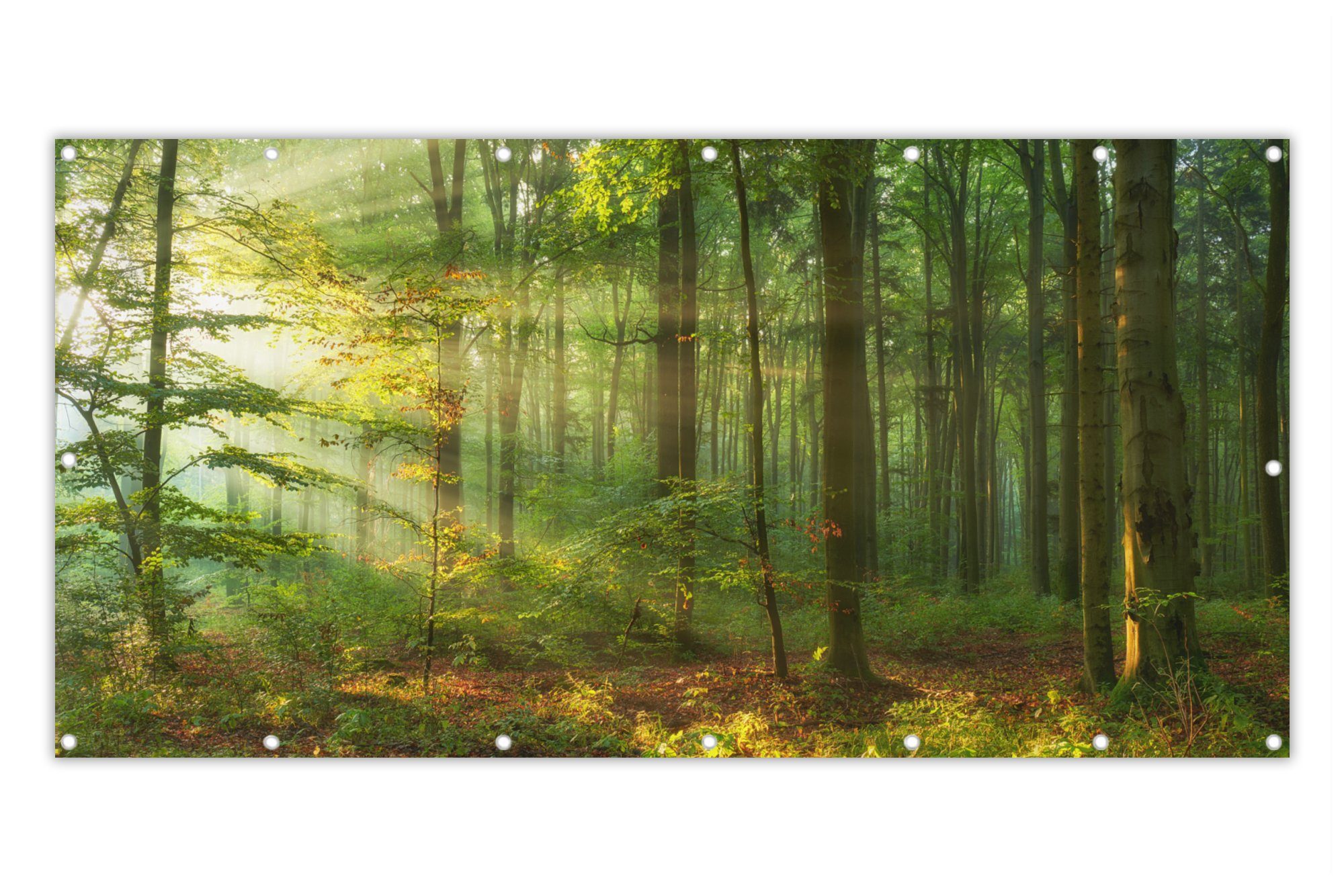 MuchoWow Balkonsichtschutz »Sonne Wald Baum Natur Herbst« (1St