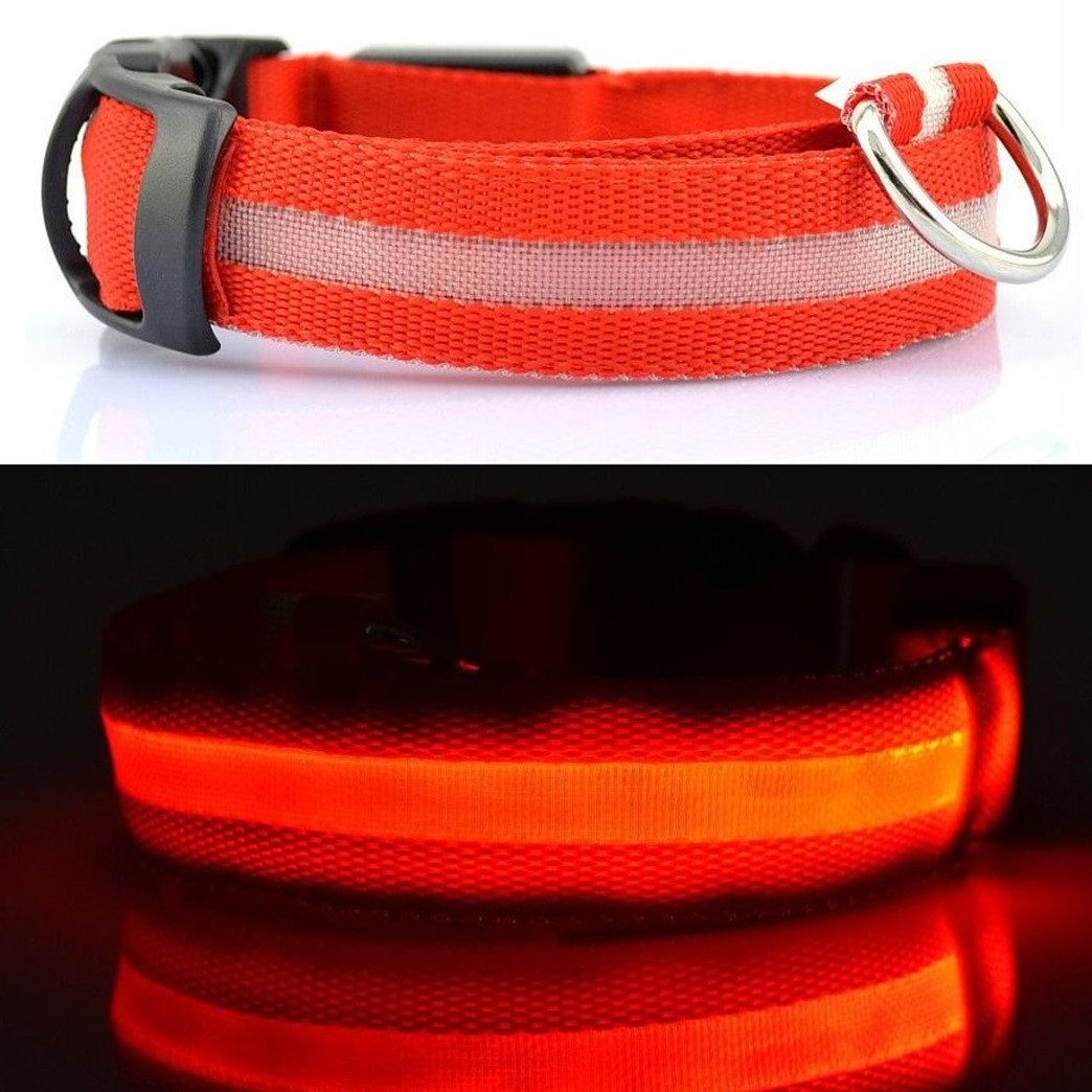 Hundehalsbandleuchte Hundehalsband Leuchthalsband Hund LED USB Aufladbar
