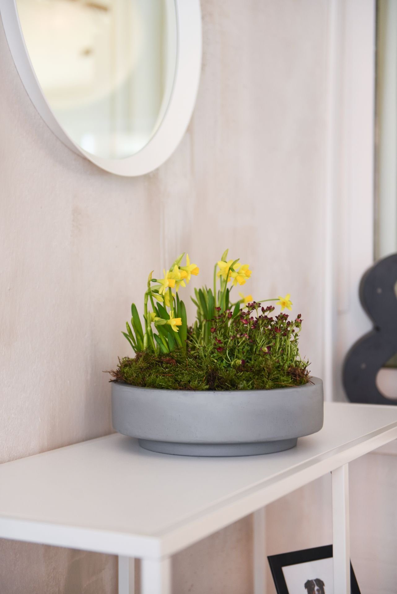 VIVANNO Pflanzschale Fiberglas ESCADA LOW Schale günstig online kaufen