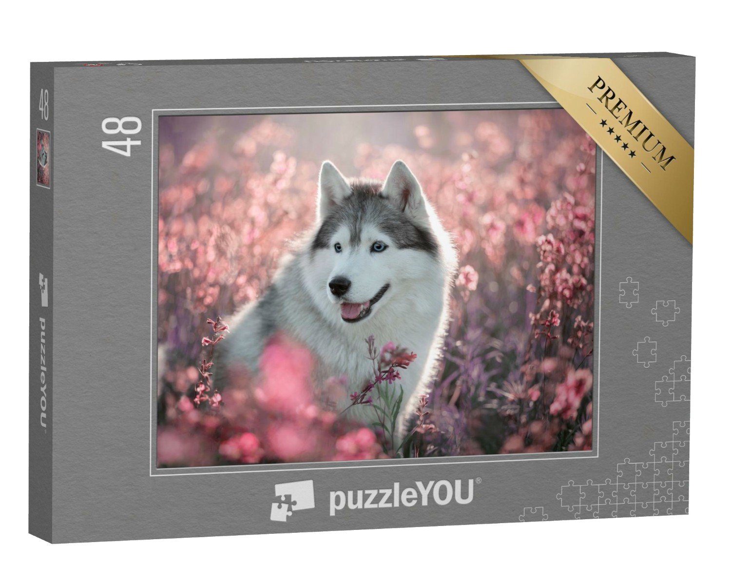 puzzleYOU Puzzle Wundeschöner Husky auf einem blühenden Feld, 48 Puzzleteile, puzzleYOU-Kollektionen Hunde, Huskys, Tiere des Nordens