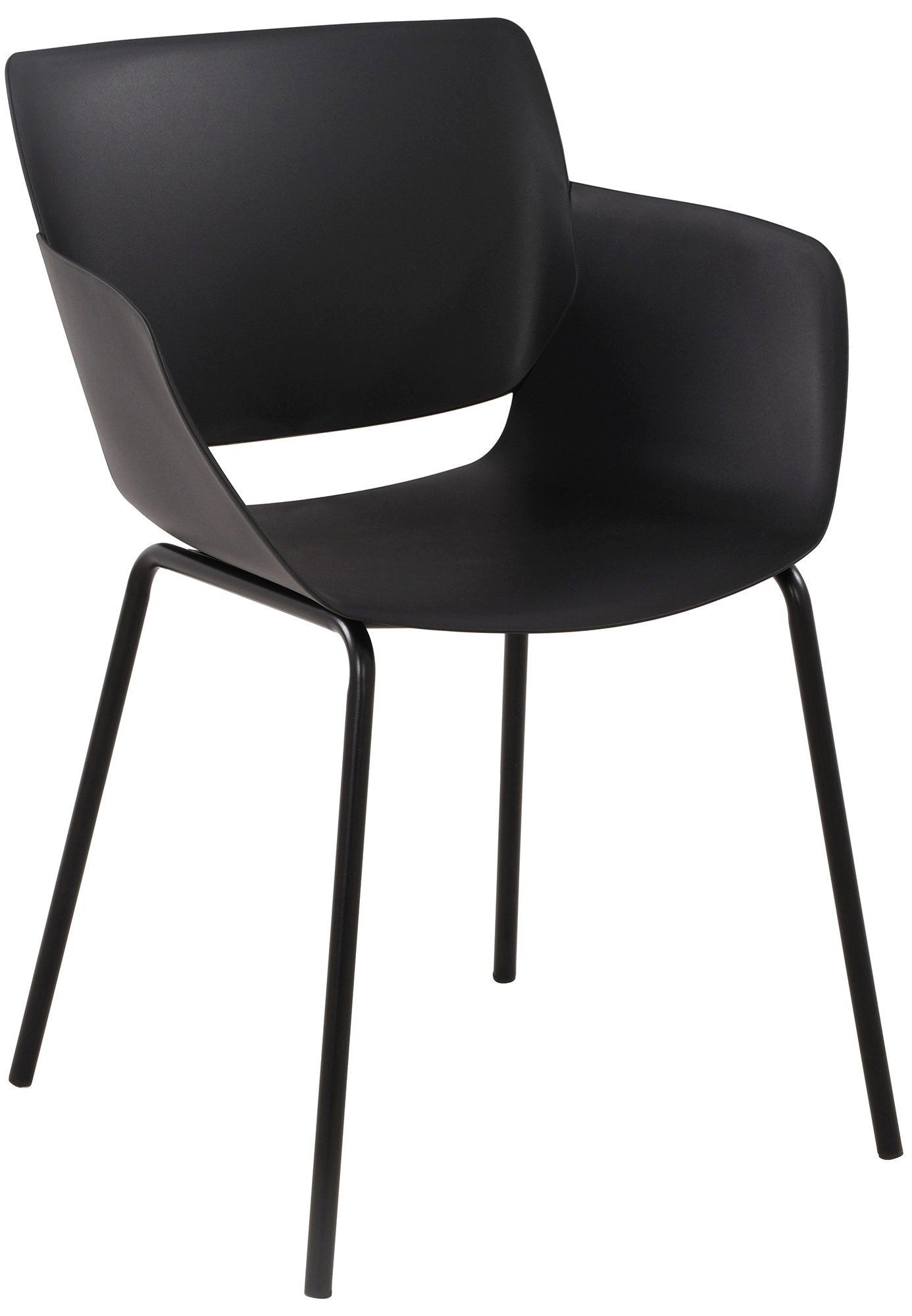 Esszimmerstuhl Stuhl Alpena