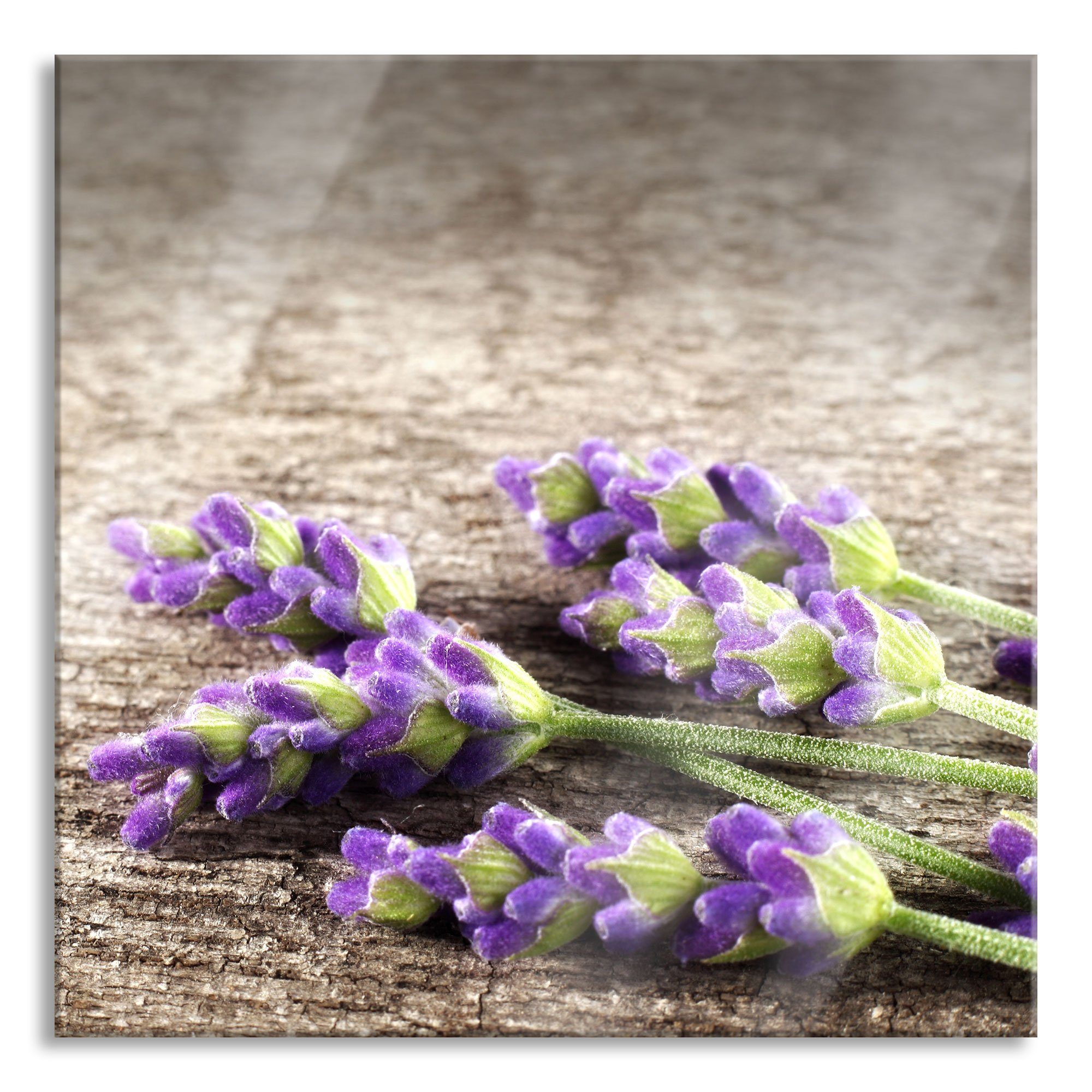 Pixxprint Glasbild Liegender frischer Lavendel, Liegender frischer Lavendel (1 St), Glasbild aus Echtglas, inkl. Aufhängungen und Abstandshalter