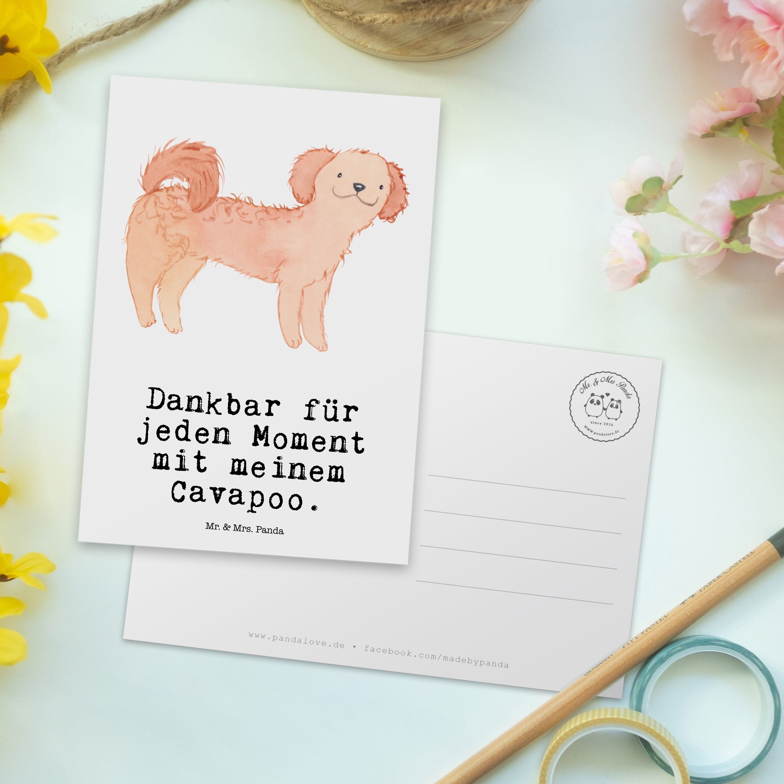 - Geschenk, Mr. Cavapoo Hund, - Schenken, Moment Postkarte & Dankeskarte, Weiß Gesche Mrs. Panda