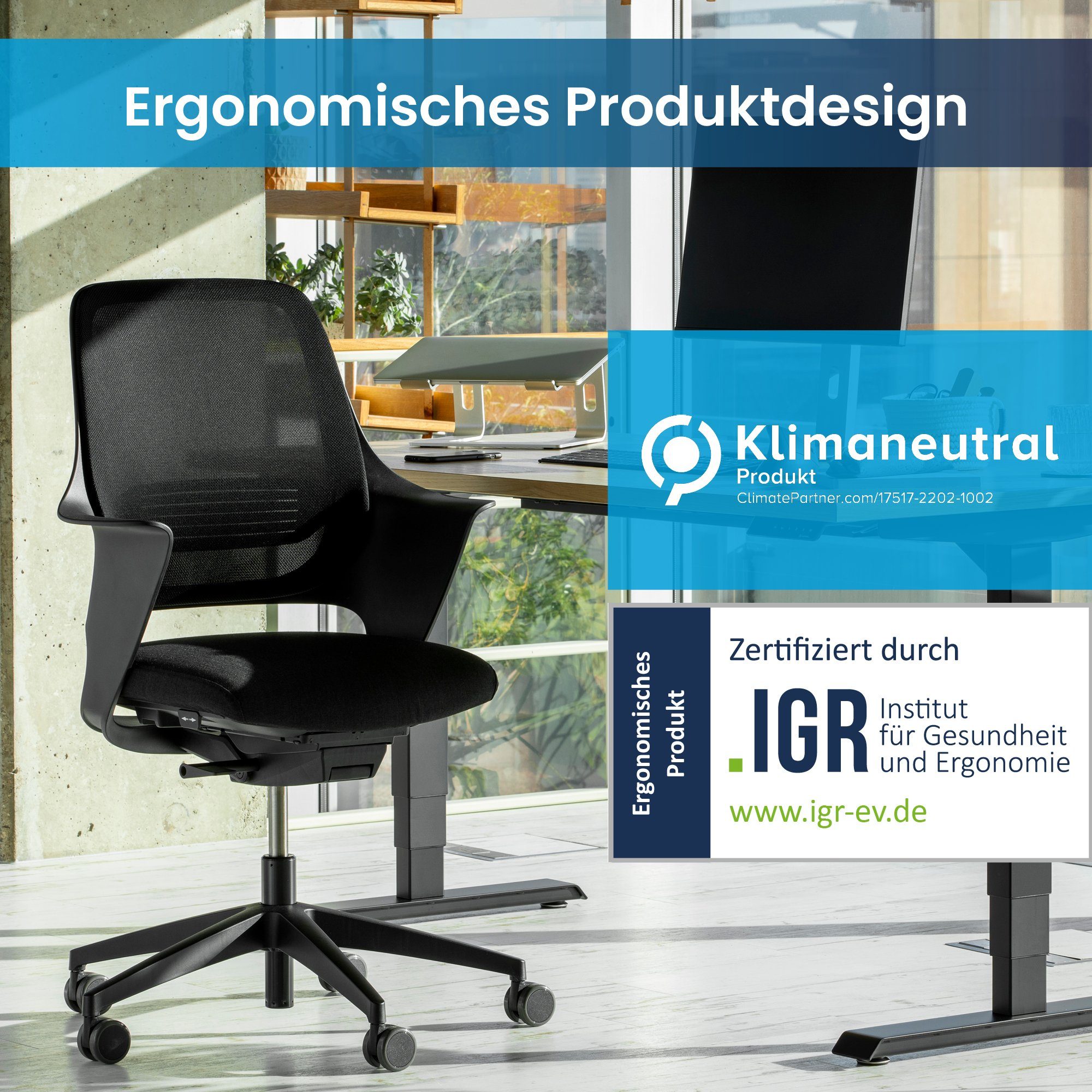 Ergotopia Bürostuhl WellBack ergonomischer Schreibtischstuhl mit  Synchronmechanik