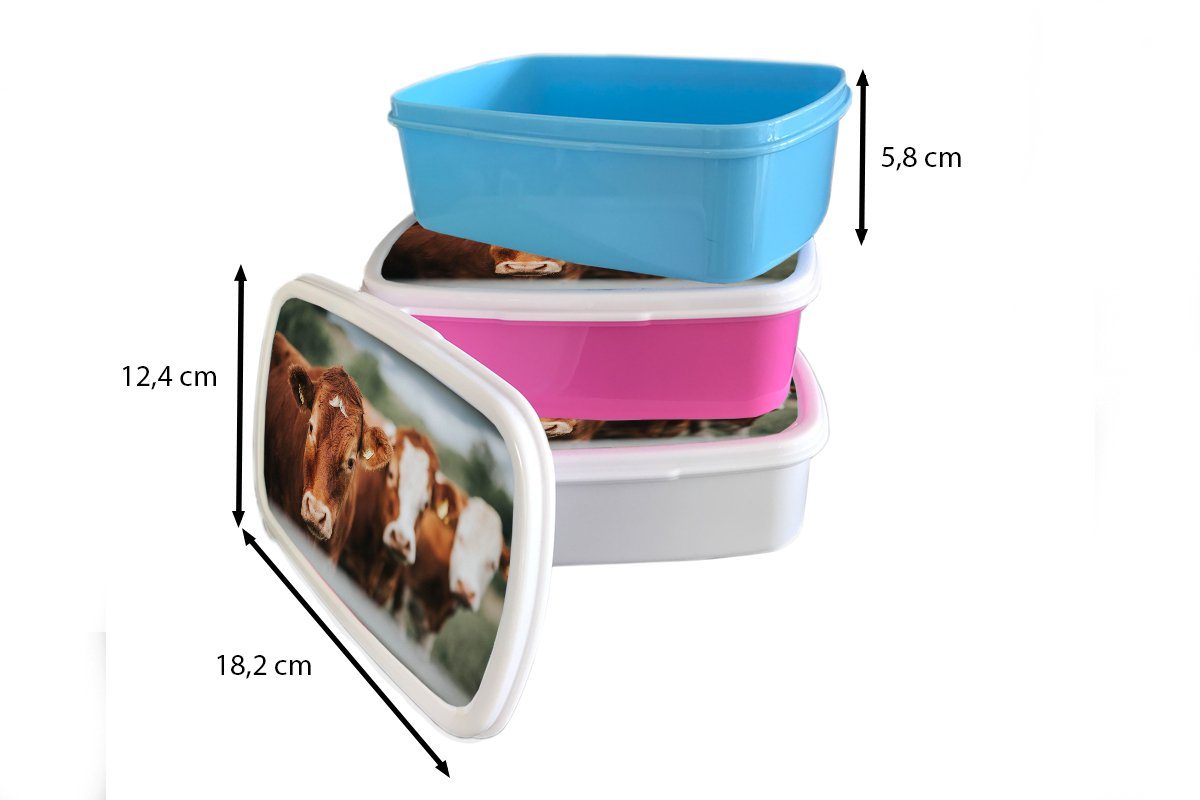MuchoWow Lunchbox Kühe - - Brotbox Gras Kunststoff Kinder, (2-tlg), Mädchen, Zaun, Brotdose rosa Erwachsene, Snackbox, für Kunststoff