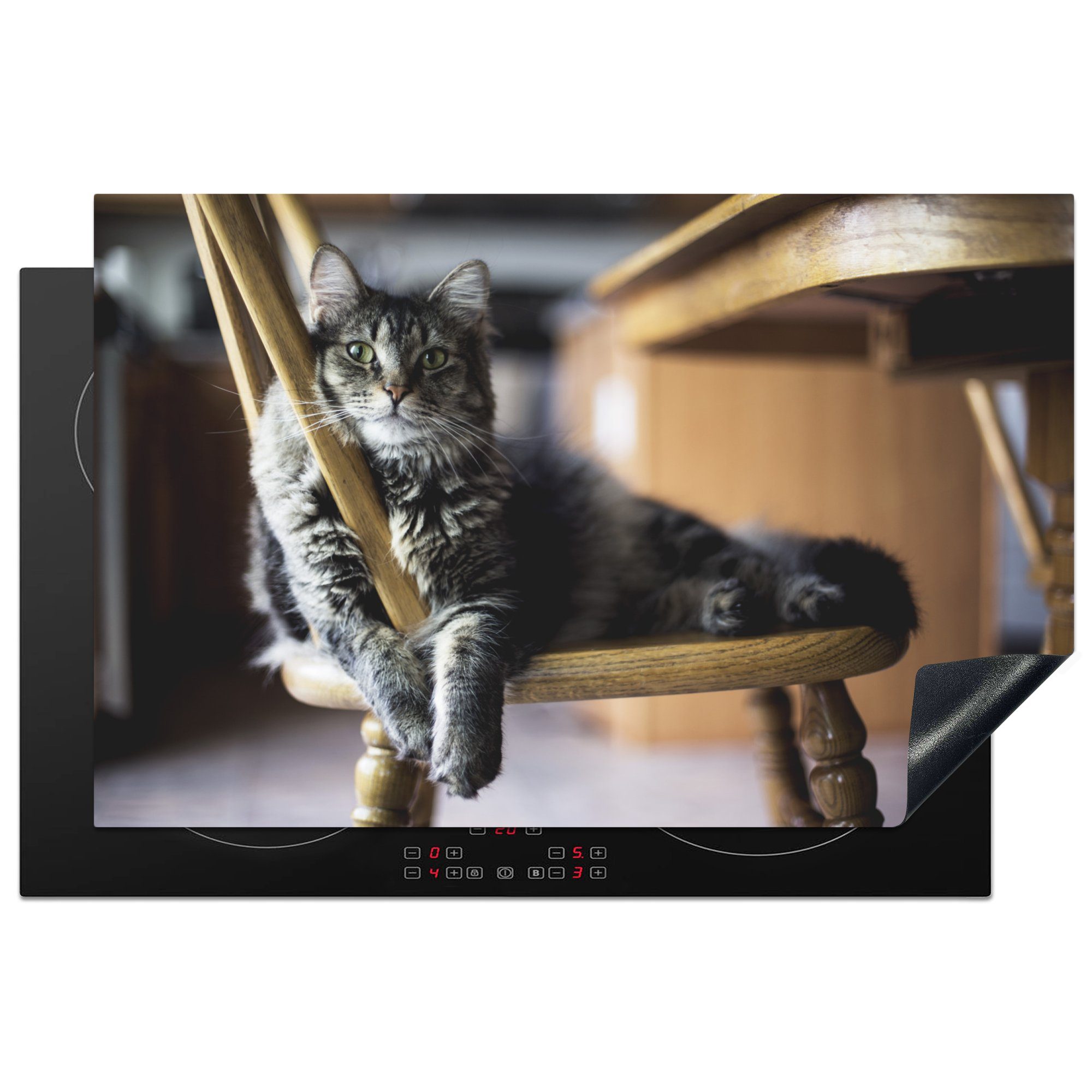 MuchoWow Herdblende-/Abdeckplatte Katze - Stuhl - Haustier, Vinyl, (1 tlg), 81x52 cm, Induktionskochfeld Schutz für die küche, Ceranfeldabdeckung
