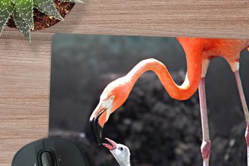 MuchoWow Gaming Mauspad Mutter Flamingo füttert ihr Baby (1-St), Mousepad mit Rutschfester Unterseite, Gaming, 40x40 cm, XXL, Großes