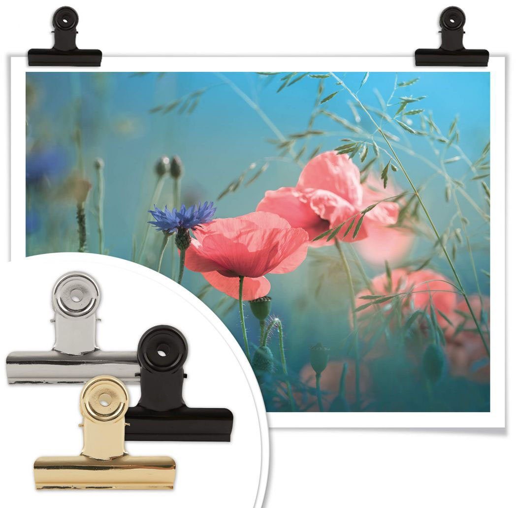 Wall-Art Poster Wildblumen Aquamarin, (1 Blumen St)