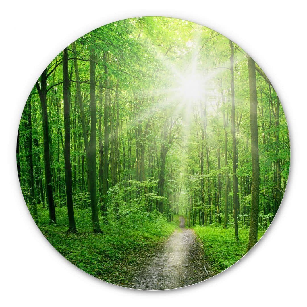 K&L Wall Art Alu-Dibond-Druck Metallposter rund Sonnenlicht Wald Spaziergan günstig online kaufen