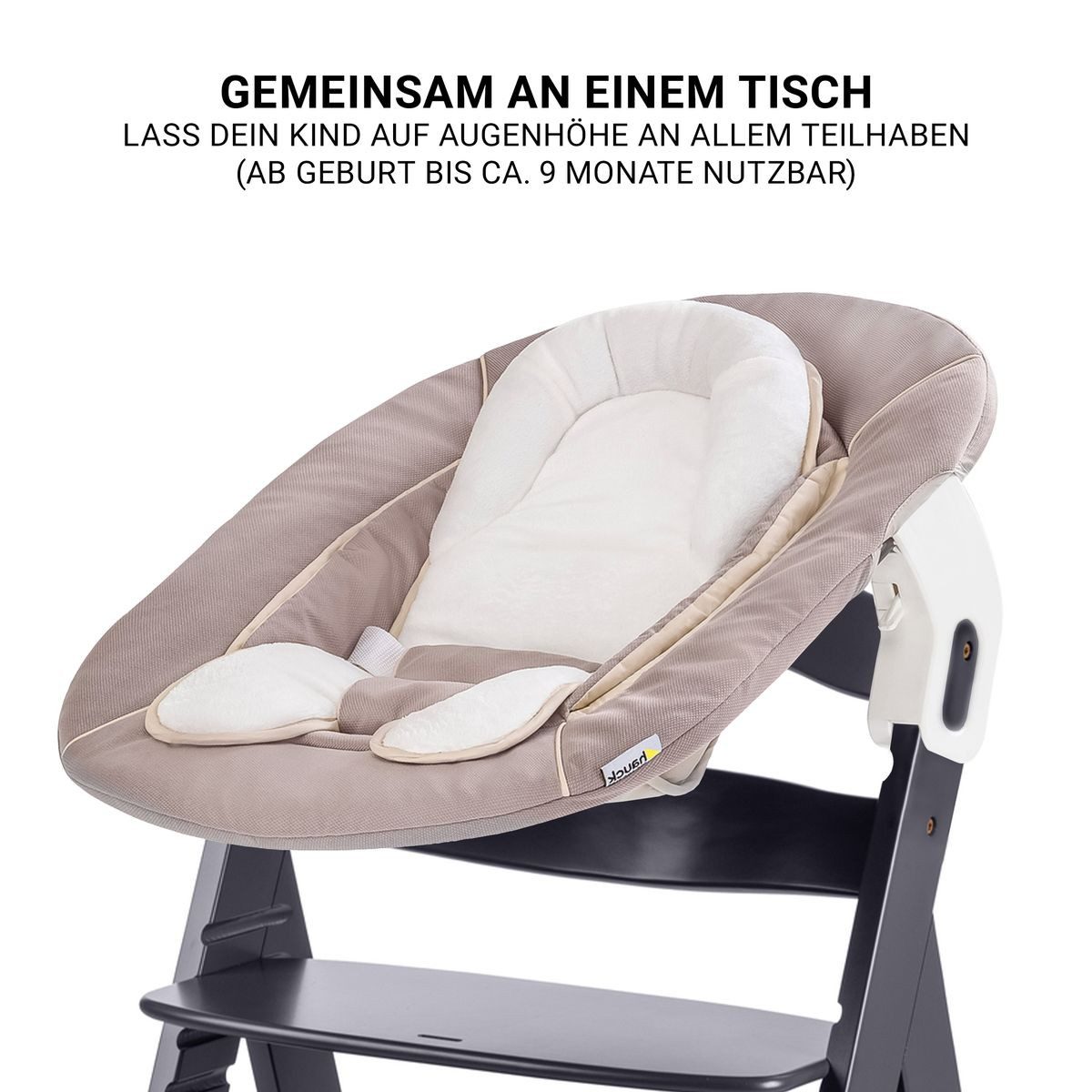 Hauck Hochstuhl Beta Plus Dark Grey - Newborn Set, Babystuhl ab Geburt inkl. Aufsatz für Neugeborene, Tisch, Sitzauflage