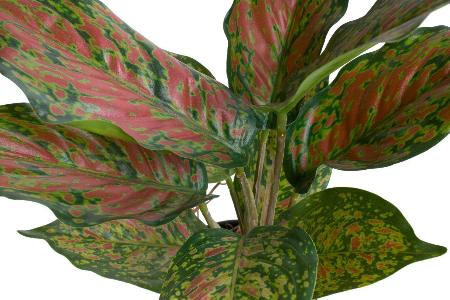 Künstliche Zimmerpflanze Caladium, Botanic-Haus, Höhe 25 günstig online kaufen